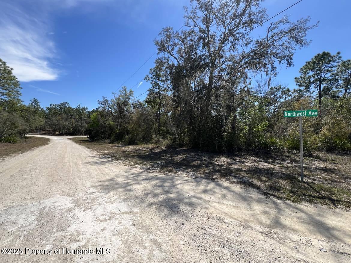 Lot #32 Northwest Avenue, Webster, Florida image 6
