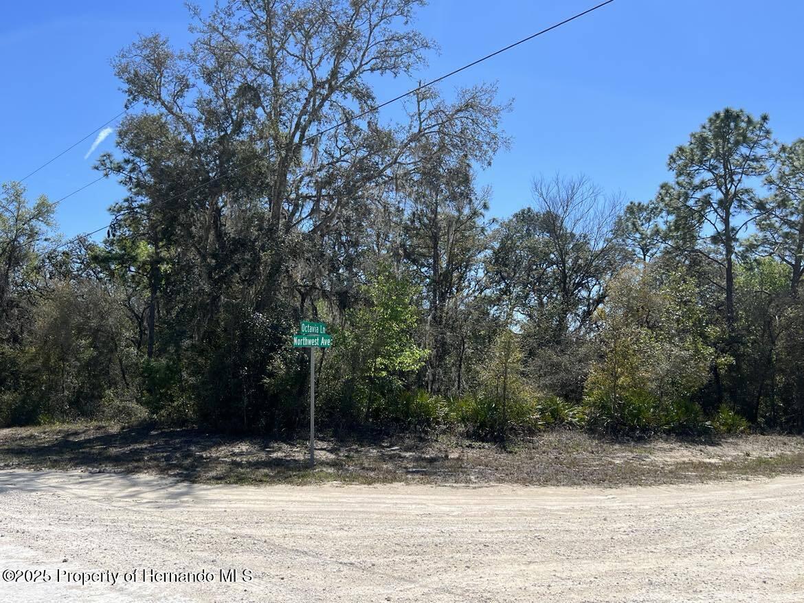 Lot #32 Northwest Avenue, Webster, Florida image 7