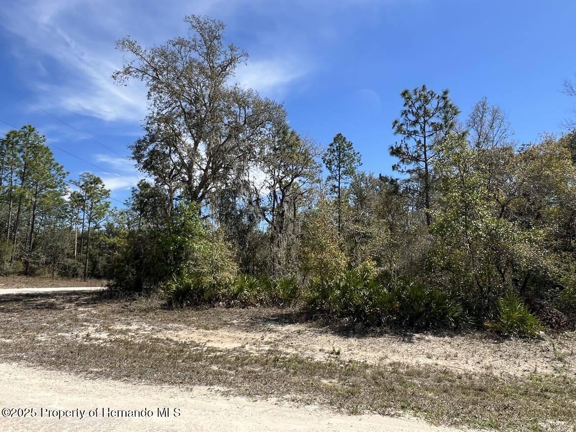 Lot #32 Northwest Avenue, Webster, Florida image 11