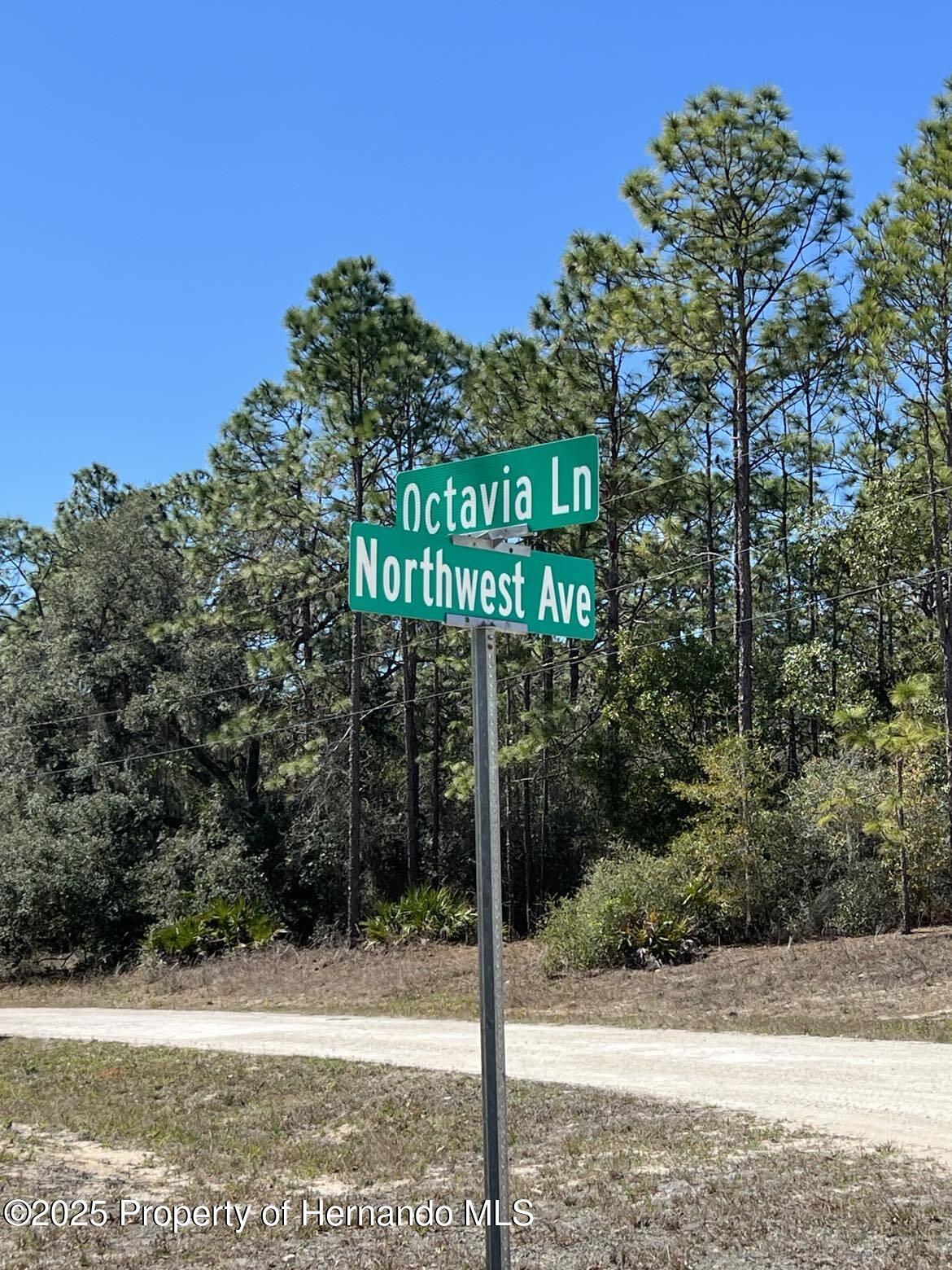 Lot #32 Northwest Avenue, Webster, Florida image 10