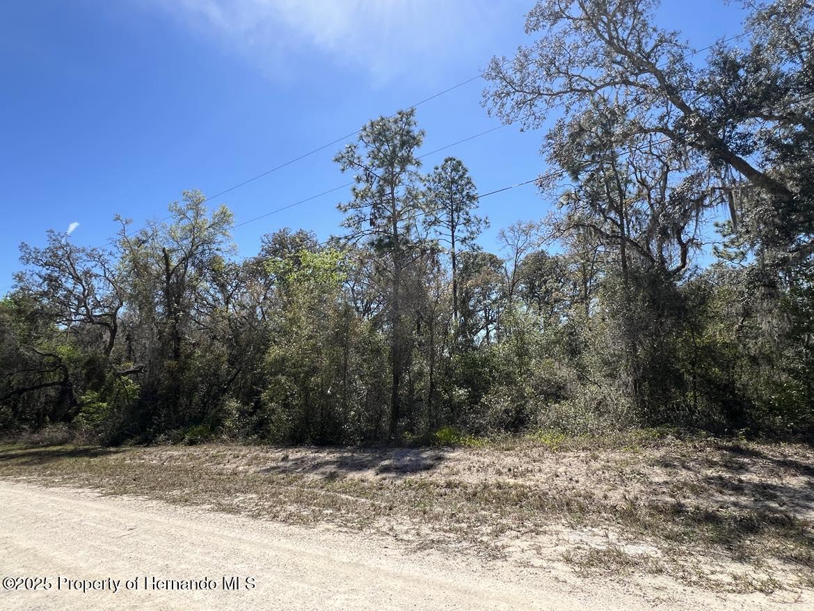 Lot #32 Northwest Avenue, Webster, Florida image 1