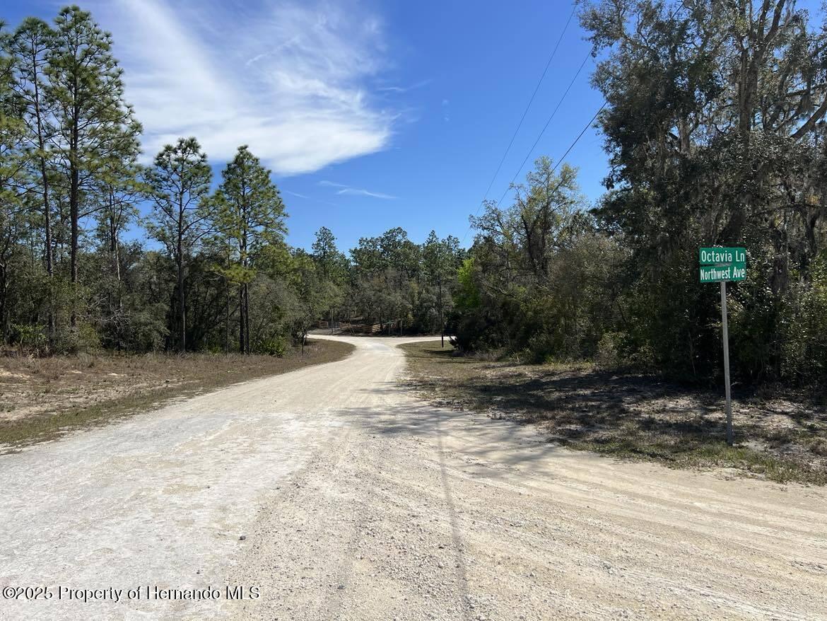 Lot #32 Northwest Avenue, Webster, Florida image 5