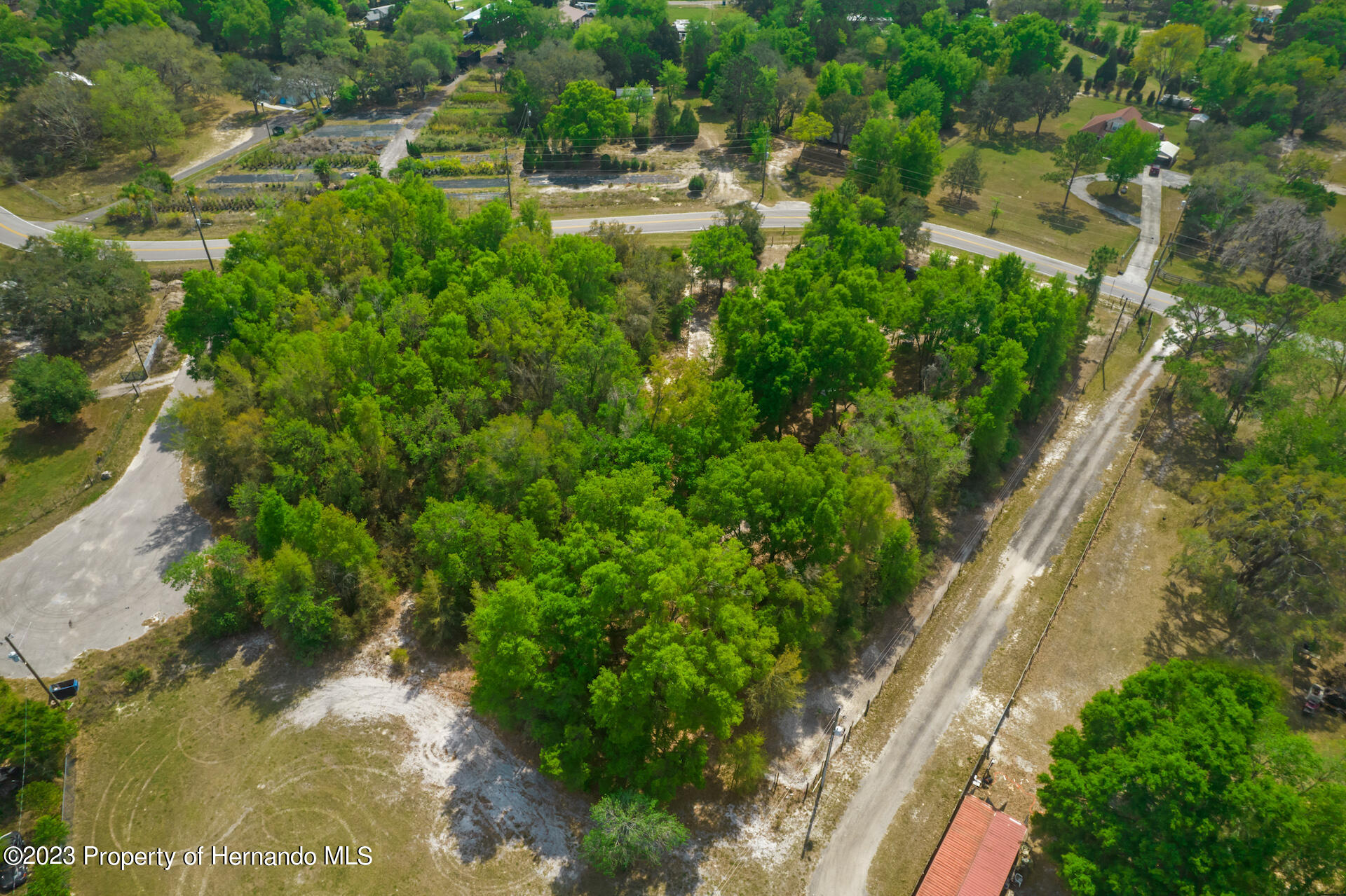 17755 Bosley Drive, Shady Hills, Florida image 7