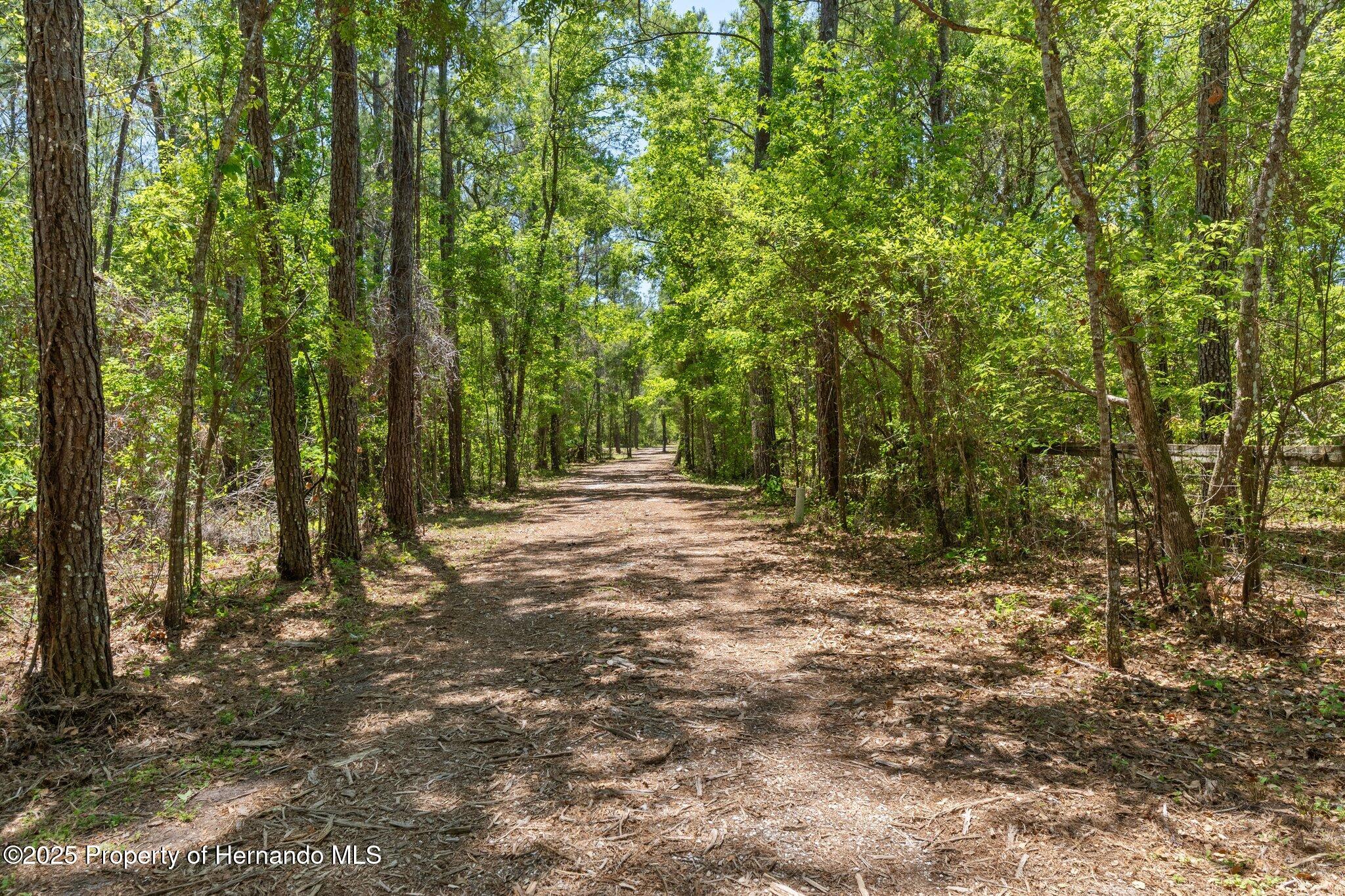 19387 Hidden Oaks Drive, Brooksville, Florida image 5