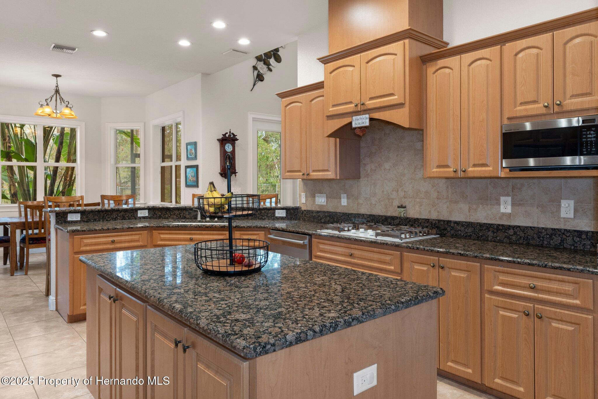 19387 Hidden Oaks Drive, Brooksville, Florida image 32