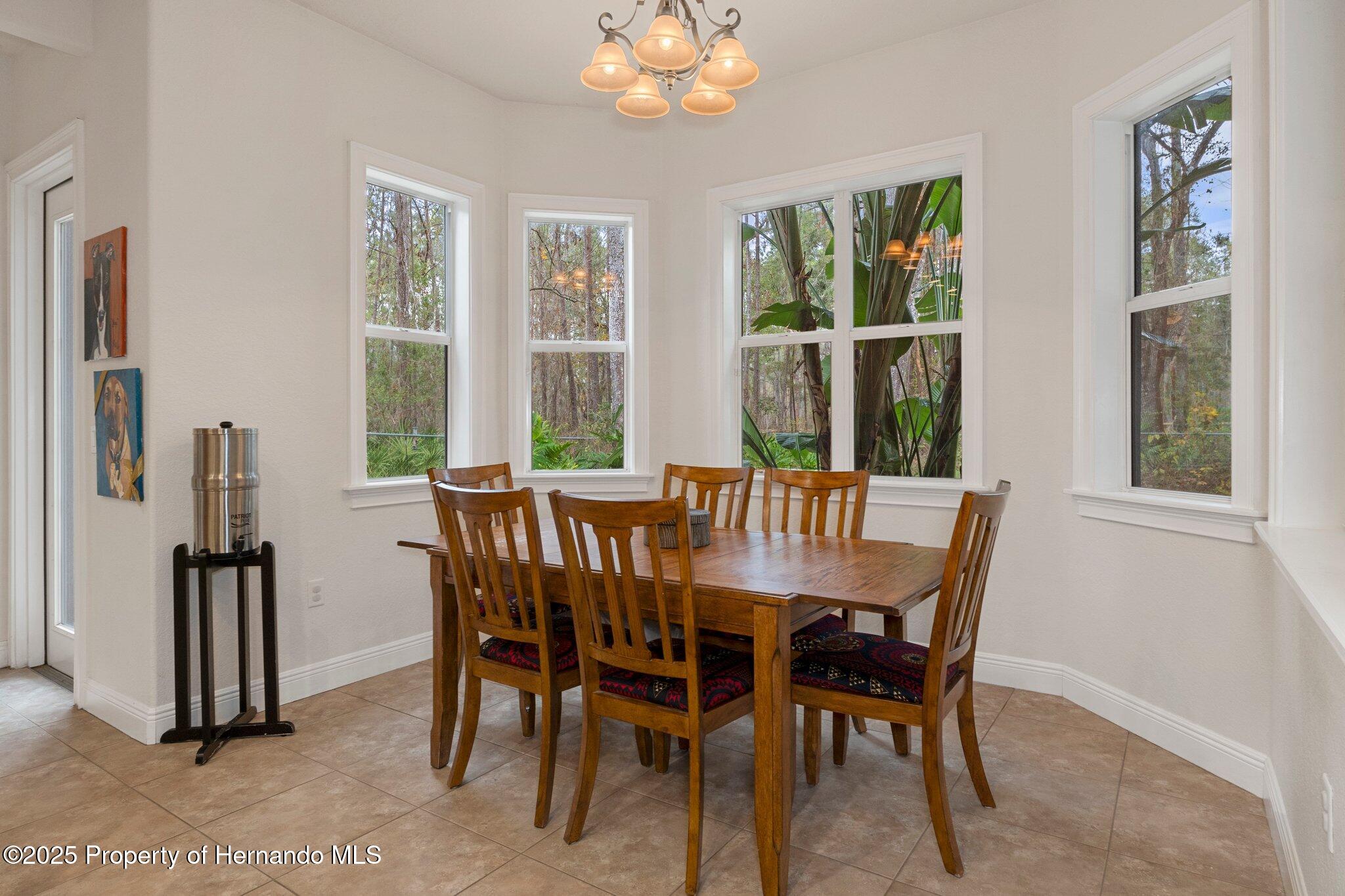 19387 Hidden Oaks Drive, Brooksville, Florida image 39