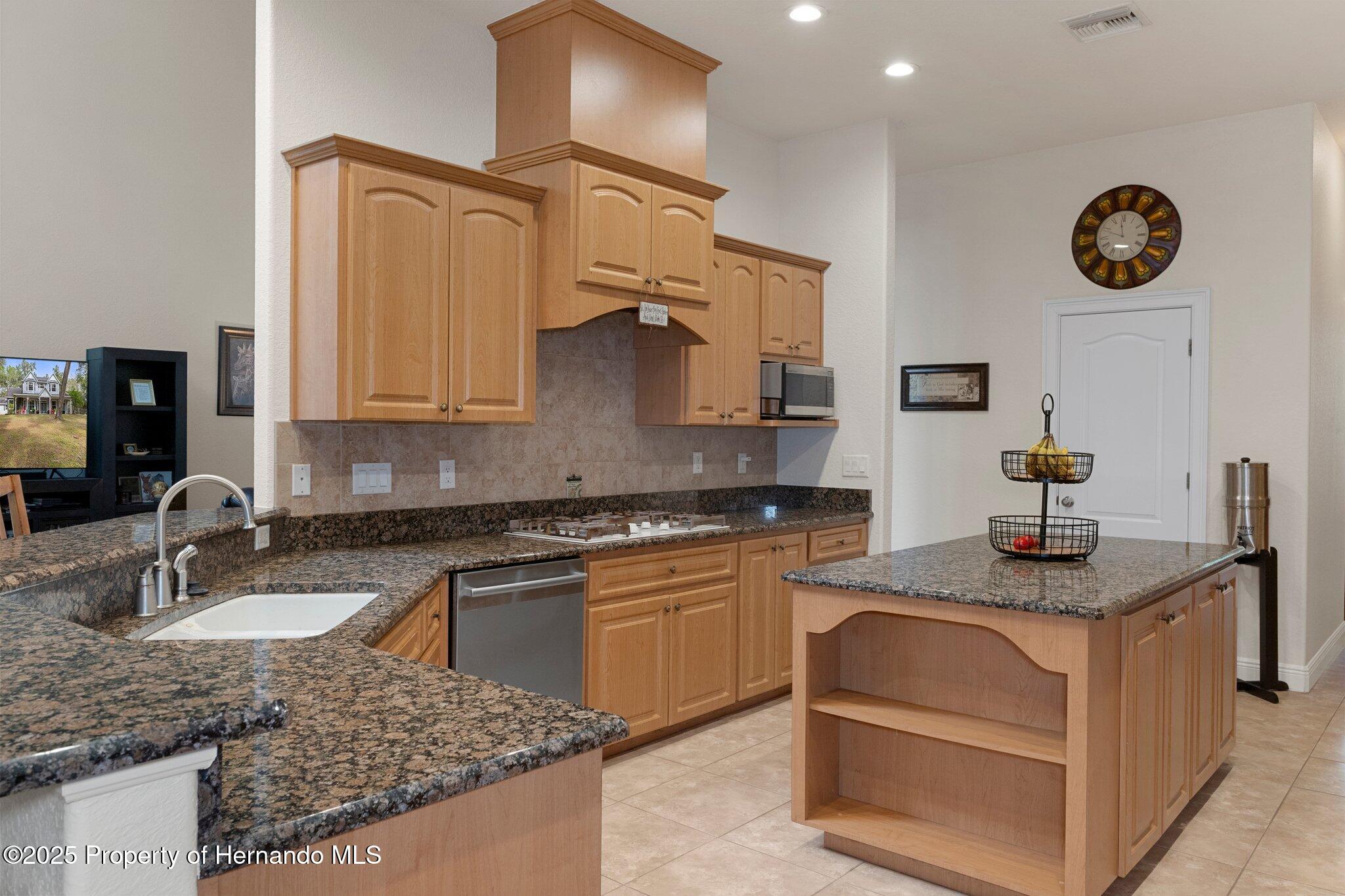 19387 Hidden Oaks Drive, Brooksville, Florida image 33