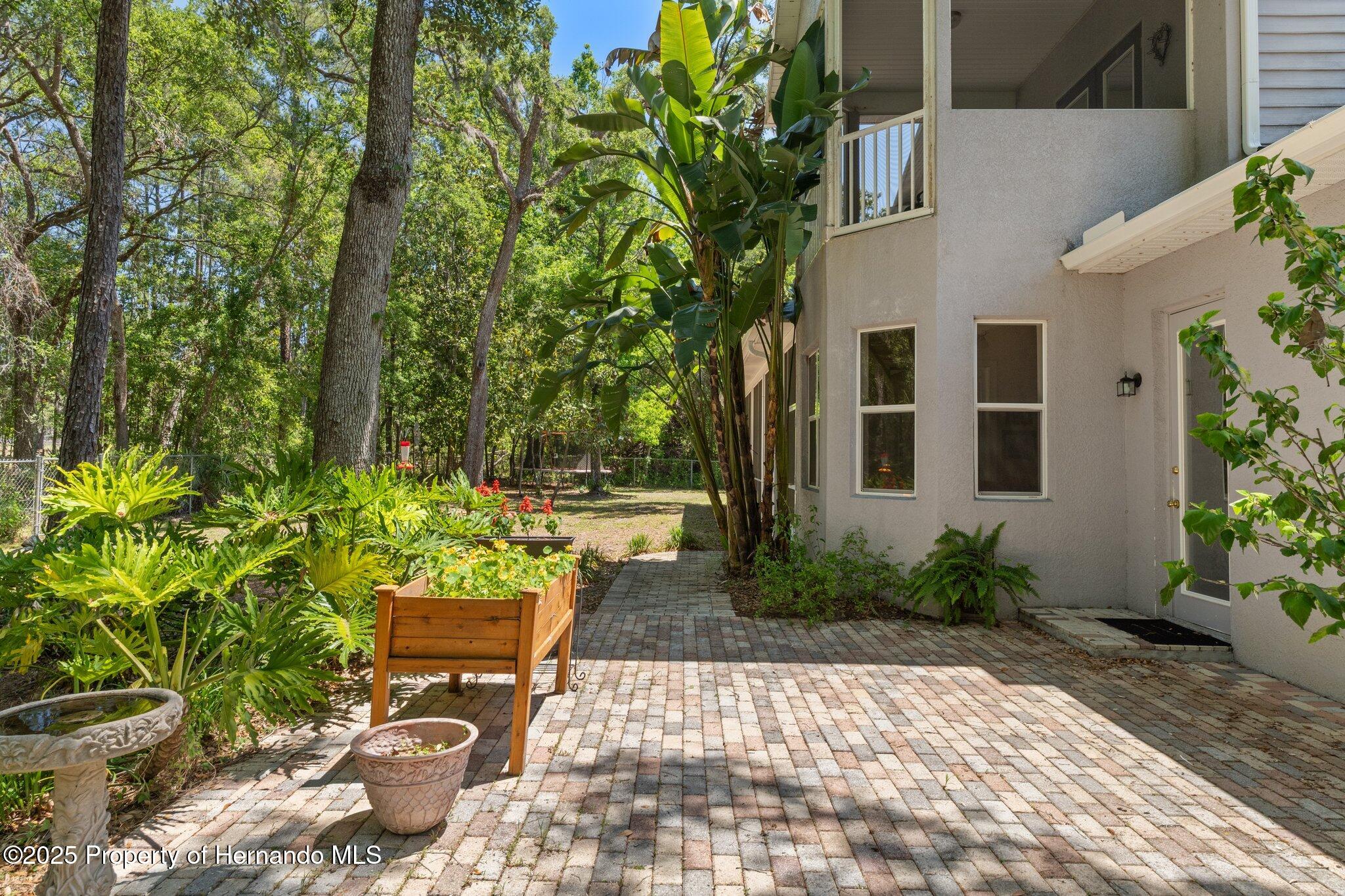 19387 Hidden Oaks Drive, Brooksville, Florida image 8