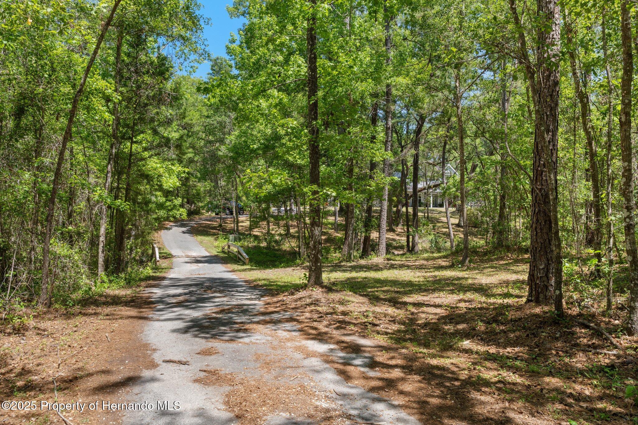 19387 Hidden Oaks Drive, Brooksville, Florida image 4