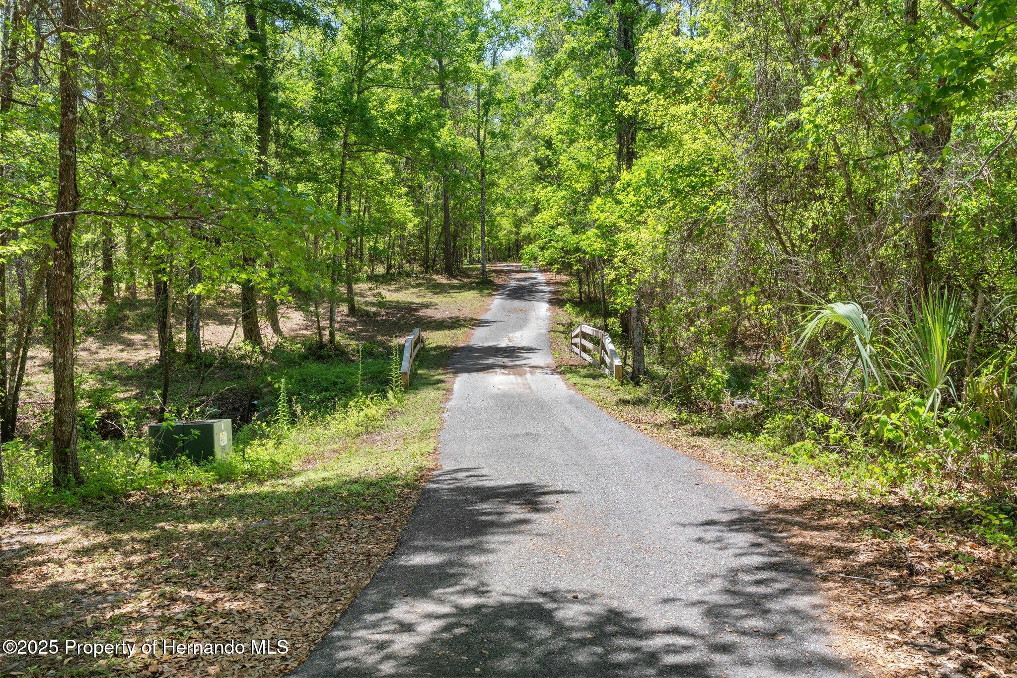 19387 Hidden Oaks Drive, Brooksville, Florida image 3