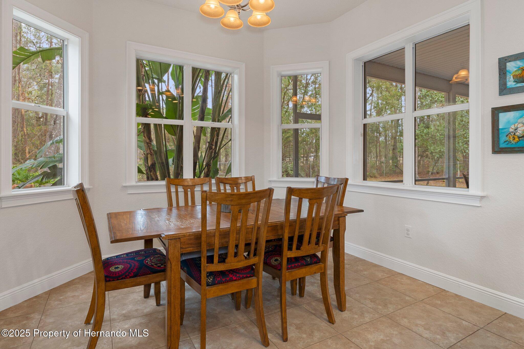 19387 Hidden Oaks Drive, Brooksville, Florida image 38