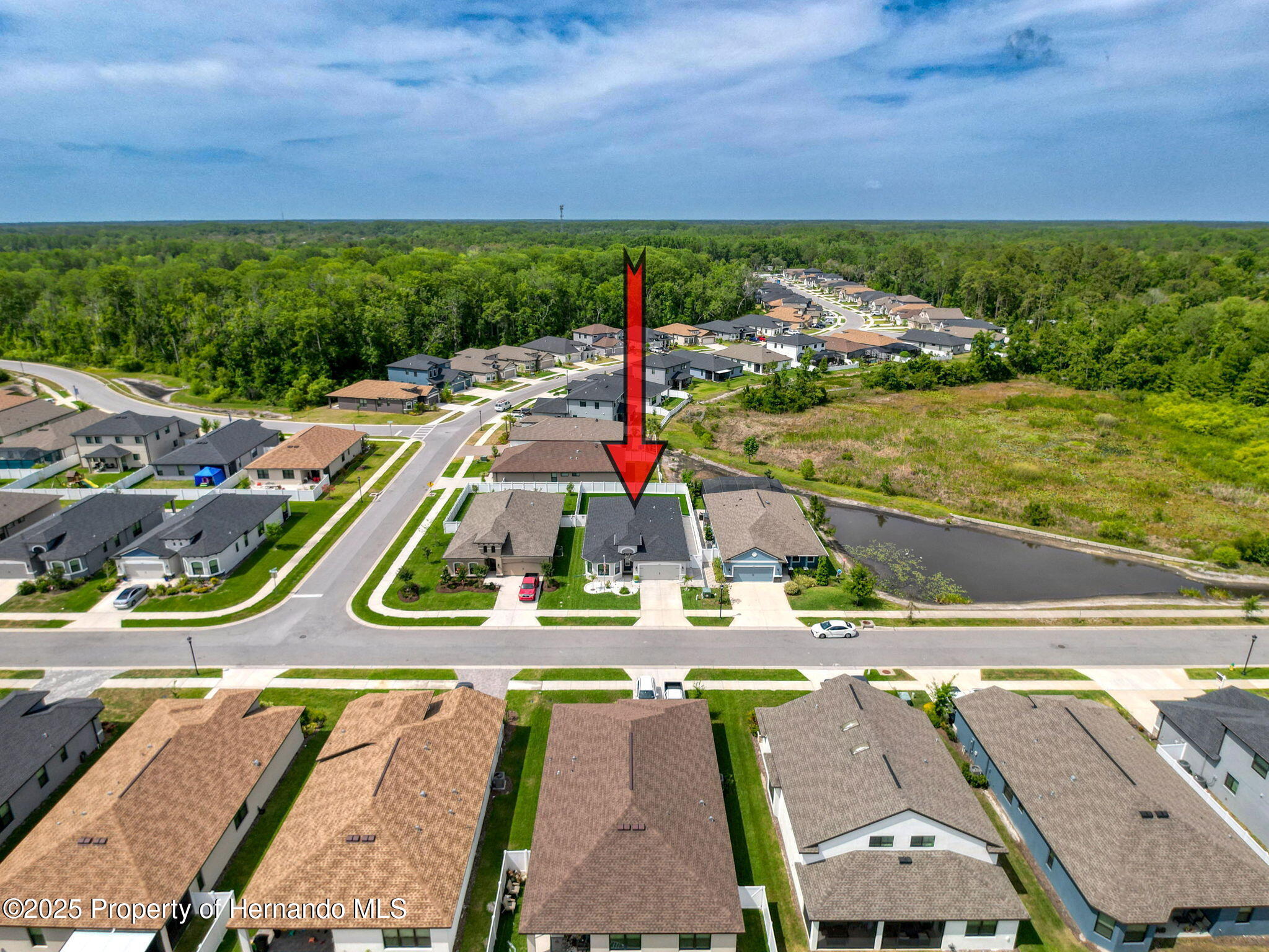 12673 Vander Way, New Port Richey, Florida image 7