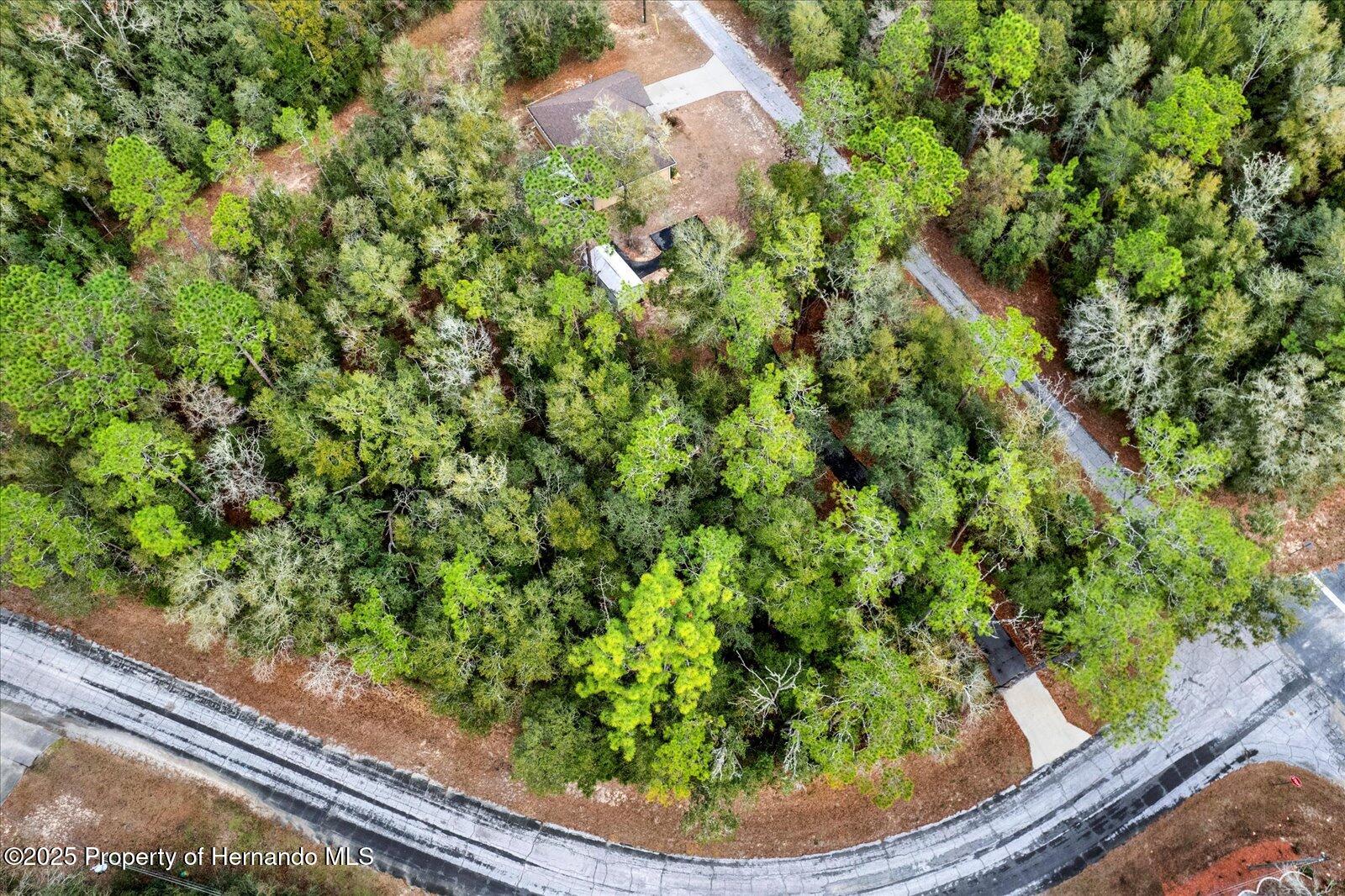 Citrus Springs, Florida 34434, United States, 3 Bedrooms Bedrooms, ,2 BathroomsBathrooms,Residential,Active,10190