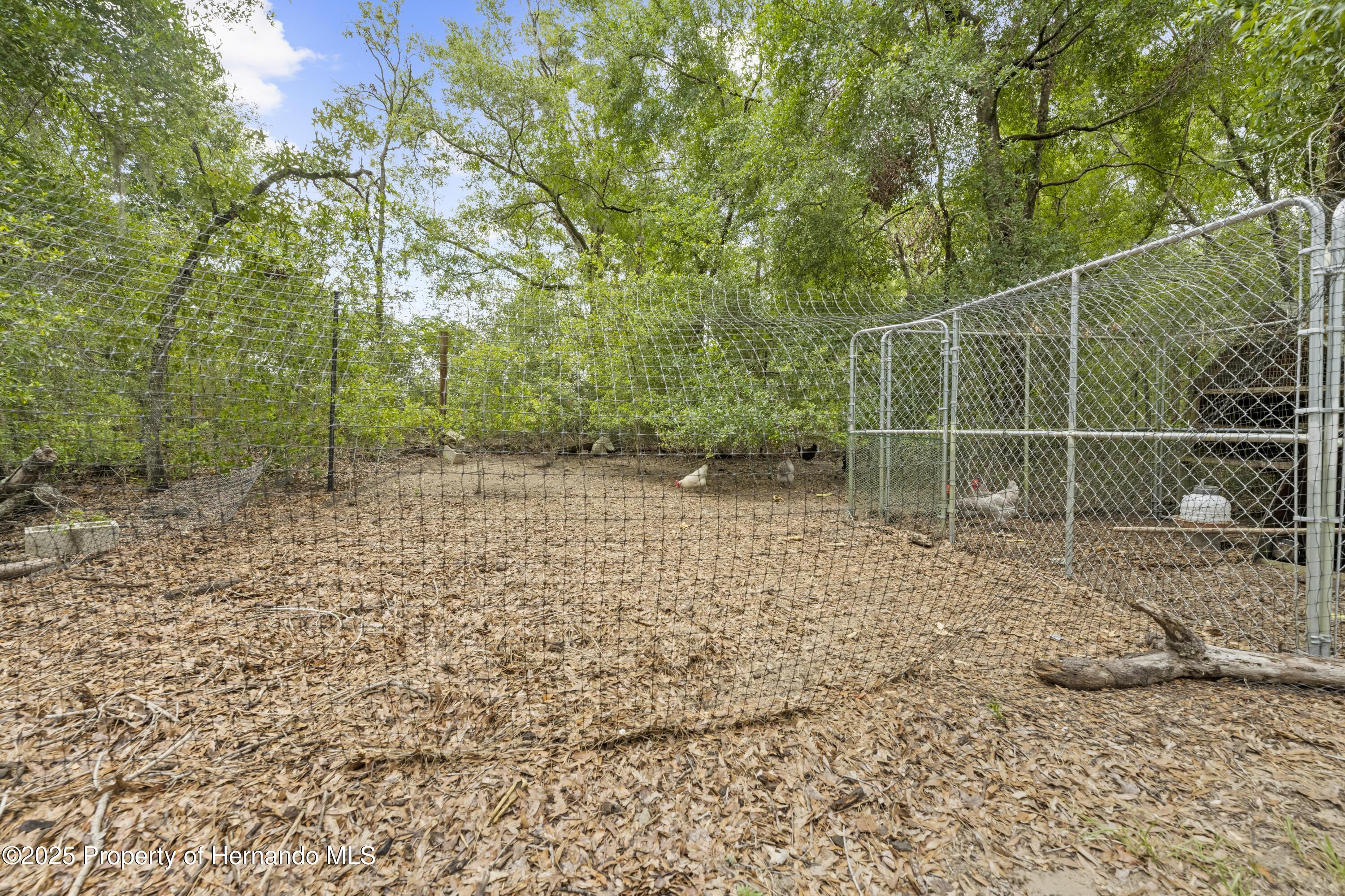 5422 Wilkins Trail, Brooksville, Florida image 43