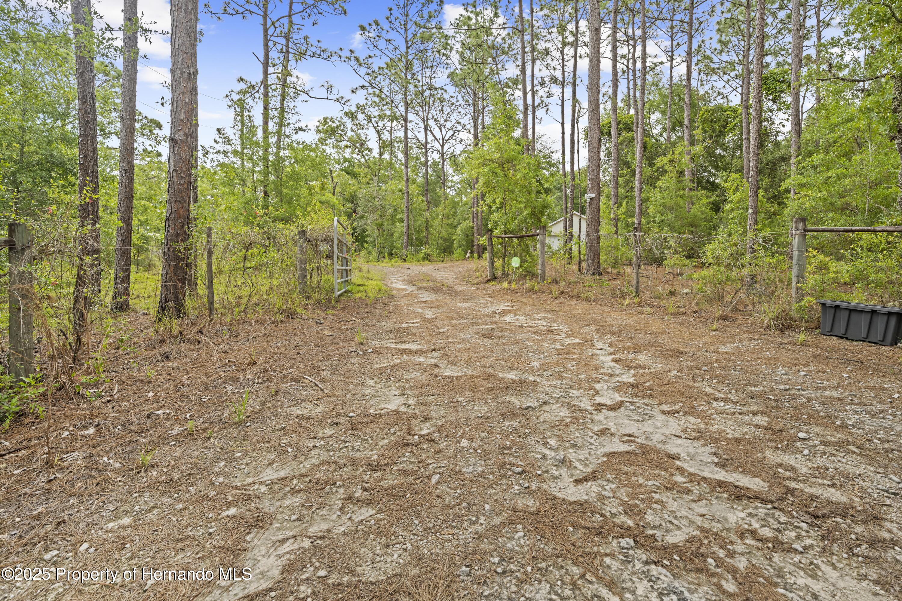 5422 Wilkins Trail, Brooksville, Florida image 46