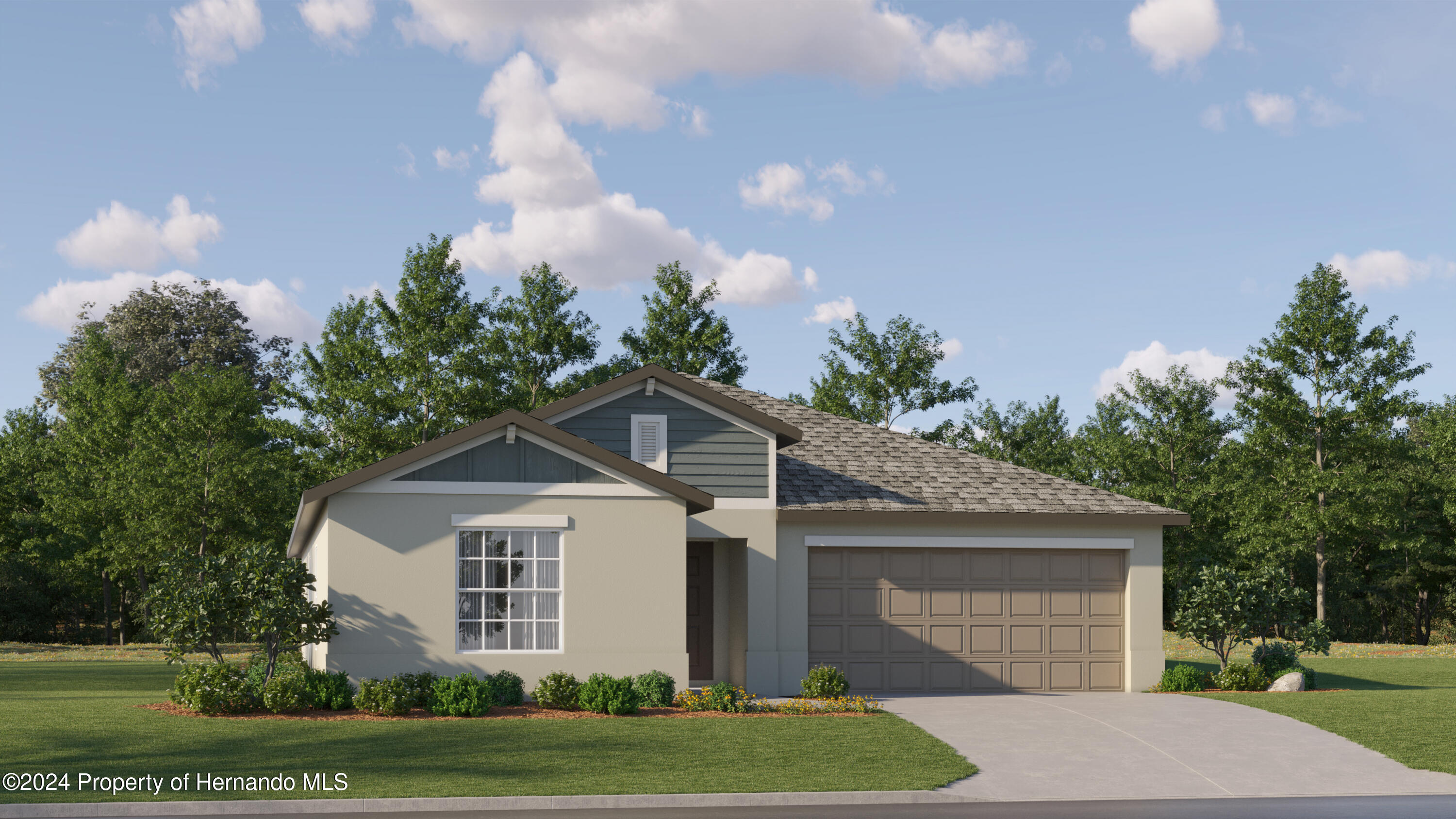 10289 Gentle Rain Drive, LAND O LAKES, Florida image 2