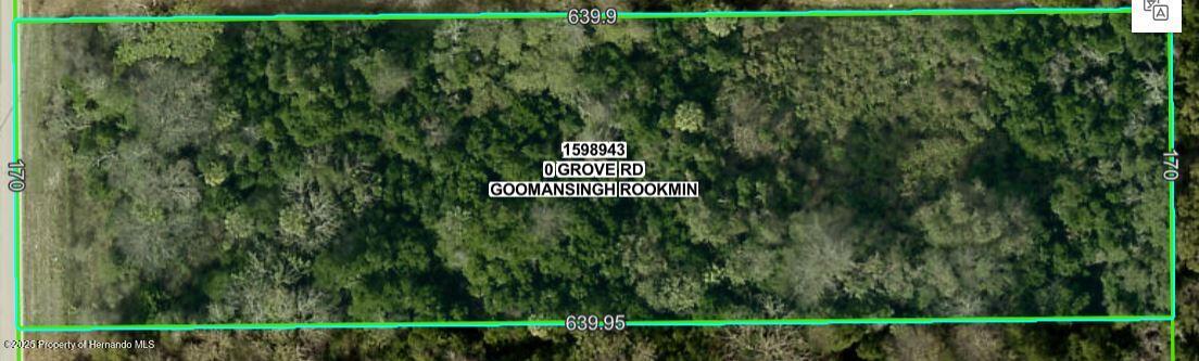 000 Grove Road, Brooksville, Florida image 1