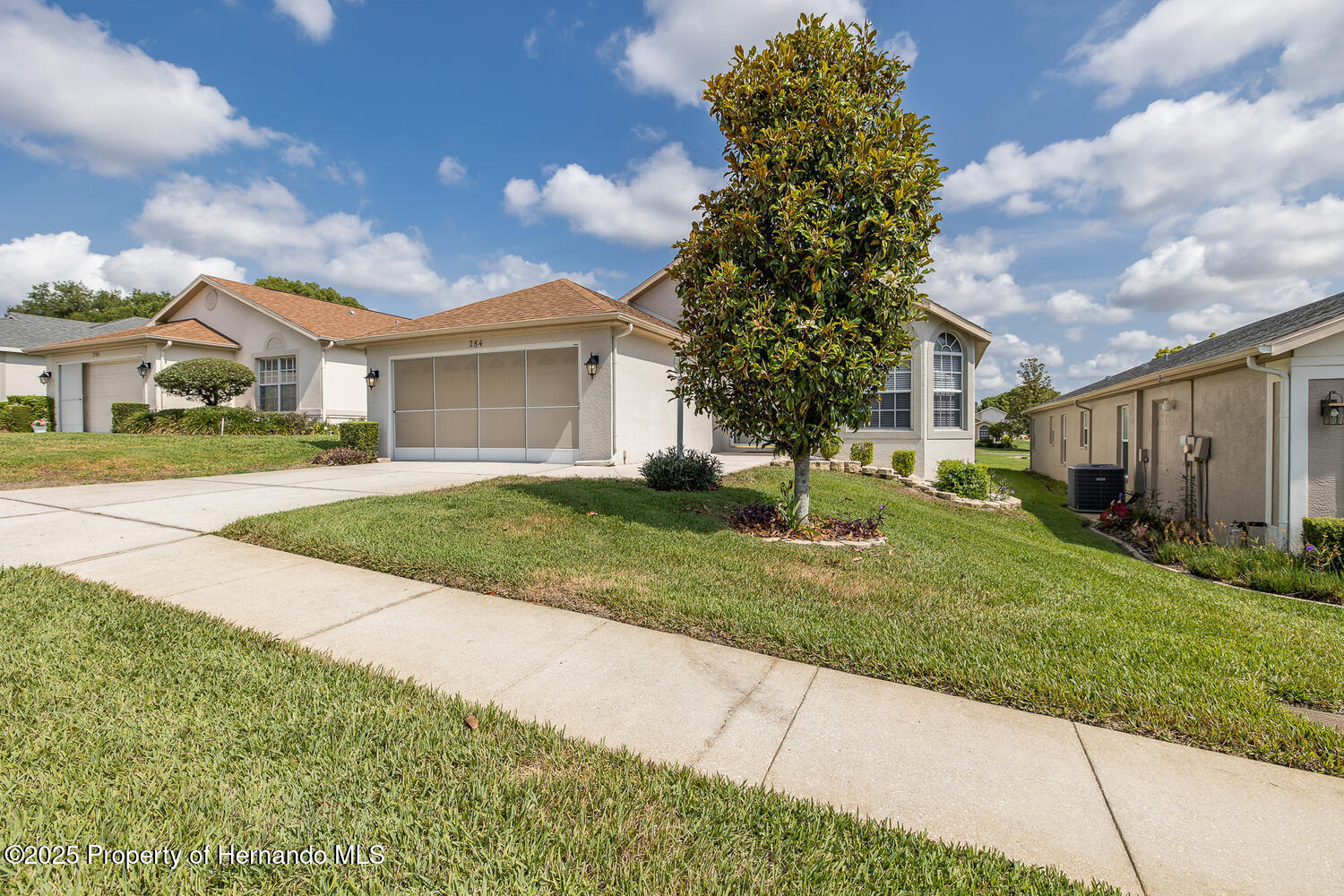 284 Quane Avenue, Spring Hill, Florida image 6