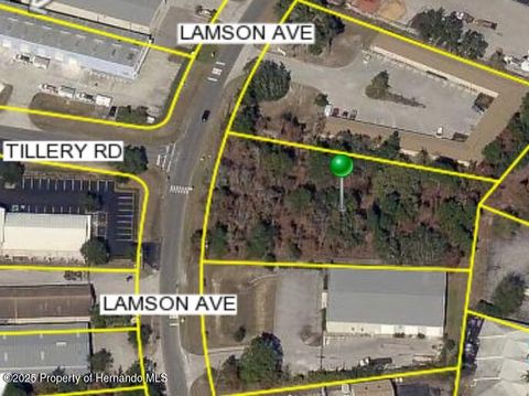 Vacant Land For Sale - Lamson Avenue<br/> Spring Hill, FL 34608
