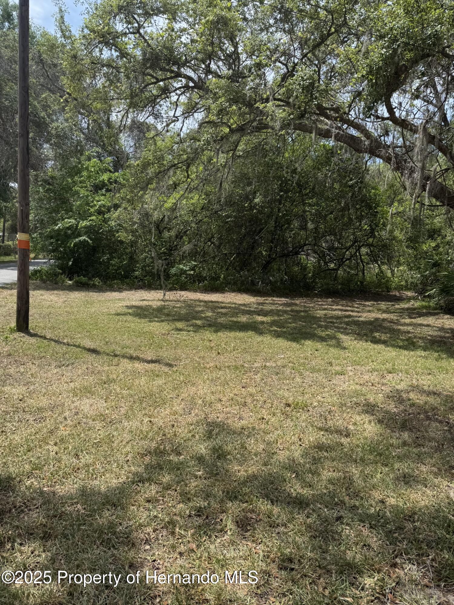 6013 Idle A While Circle, Dade City, Florida image 4