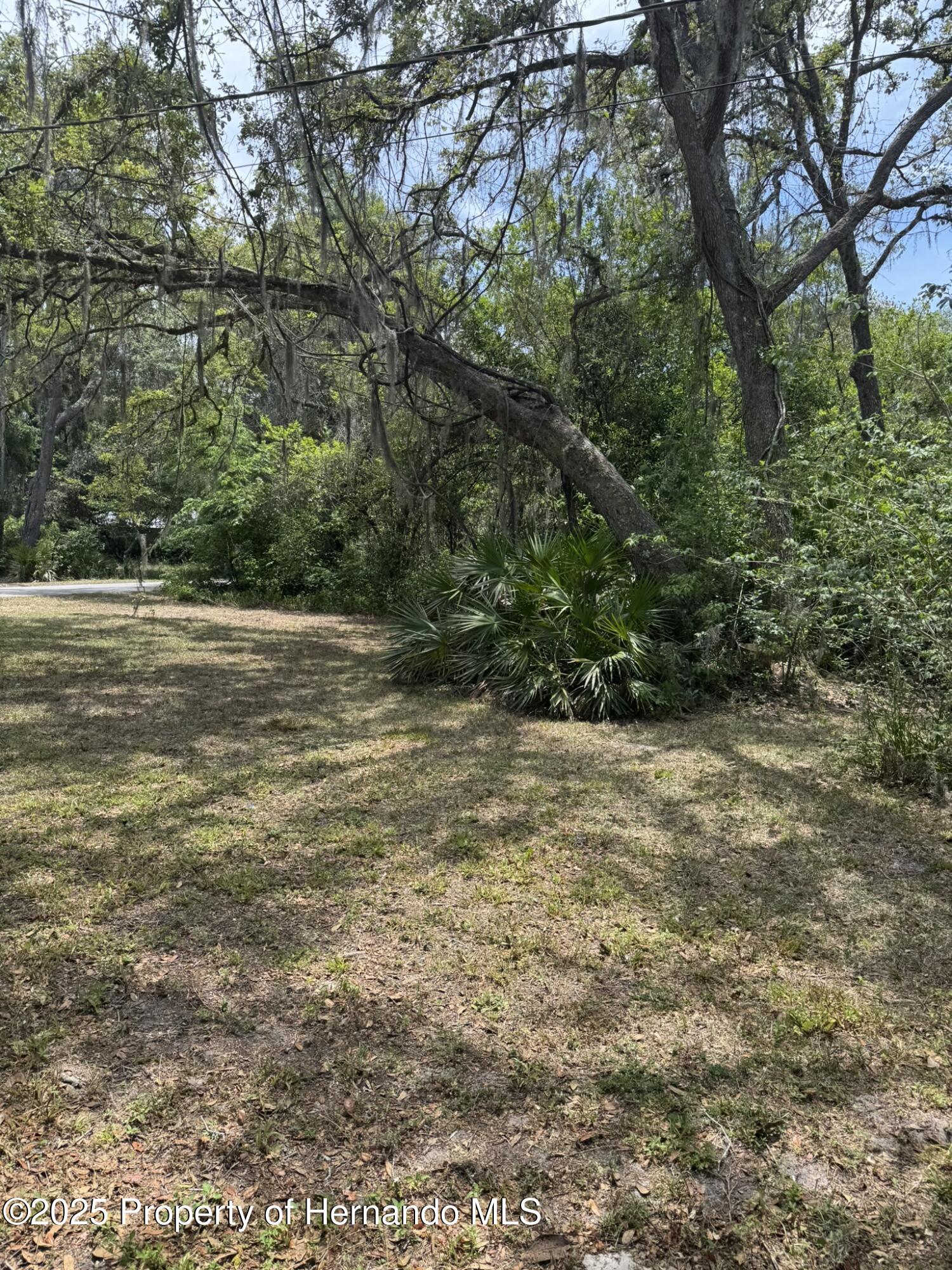 6013 Idle A While Circle, Dade City, Florida image 19