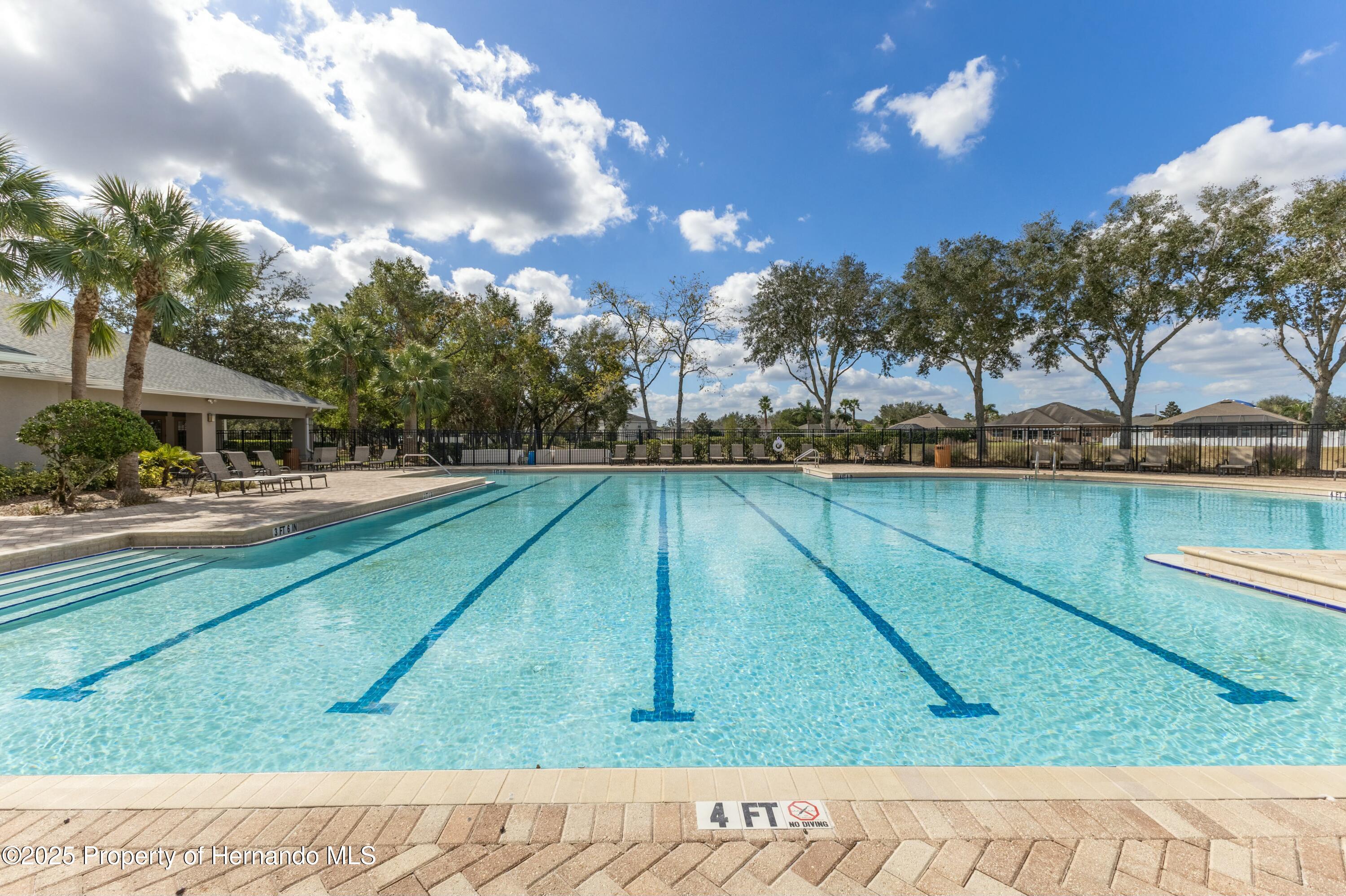 109 Fairmont Drive, Spring Hill, Florida image 3
