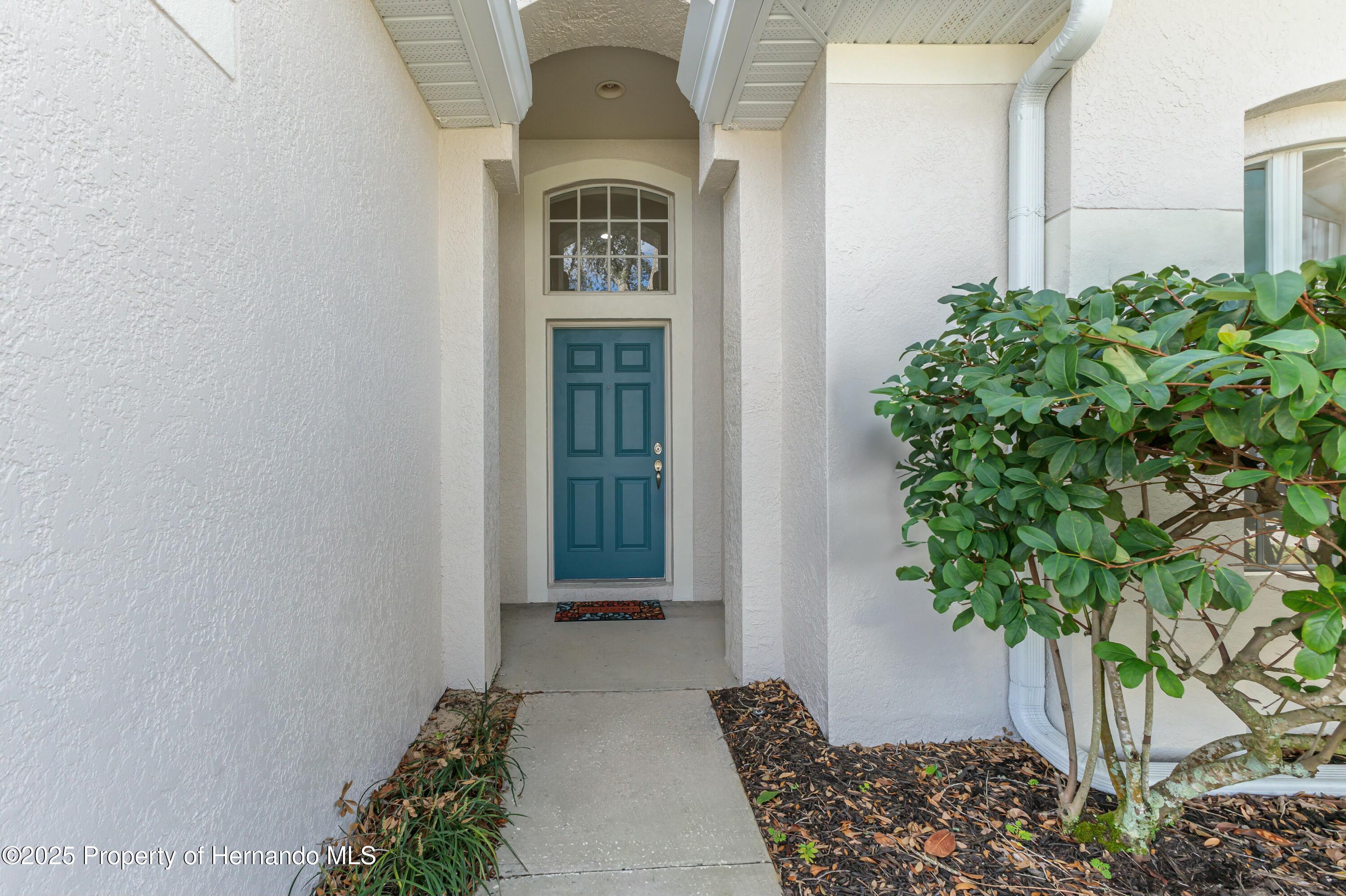 109 Fairmont Drive, Spring Hill, Florida image 5