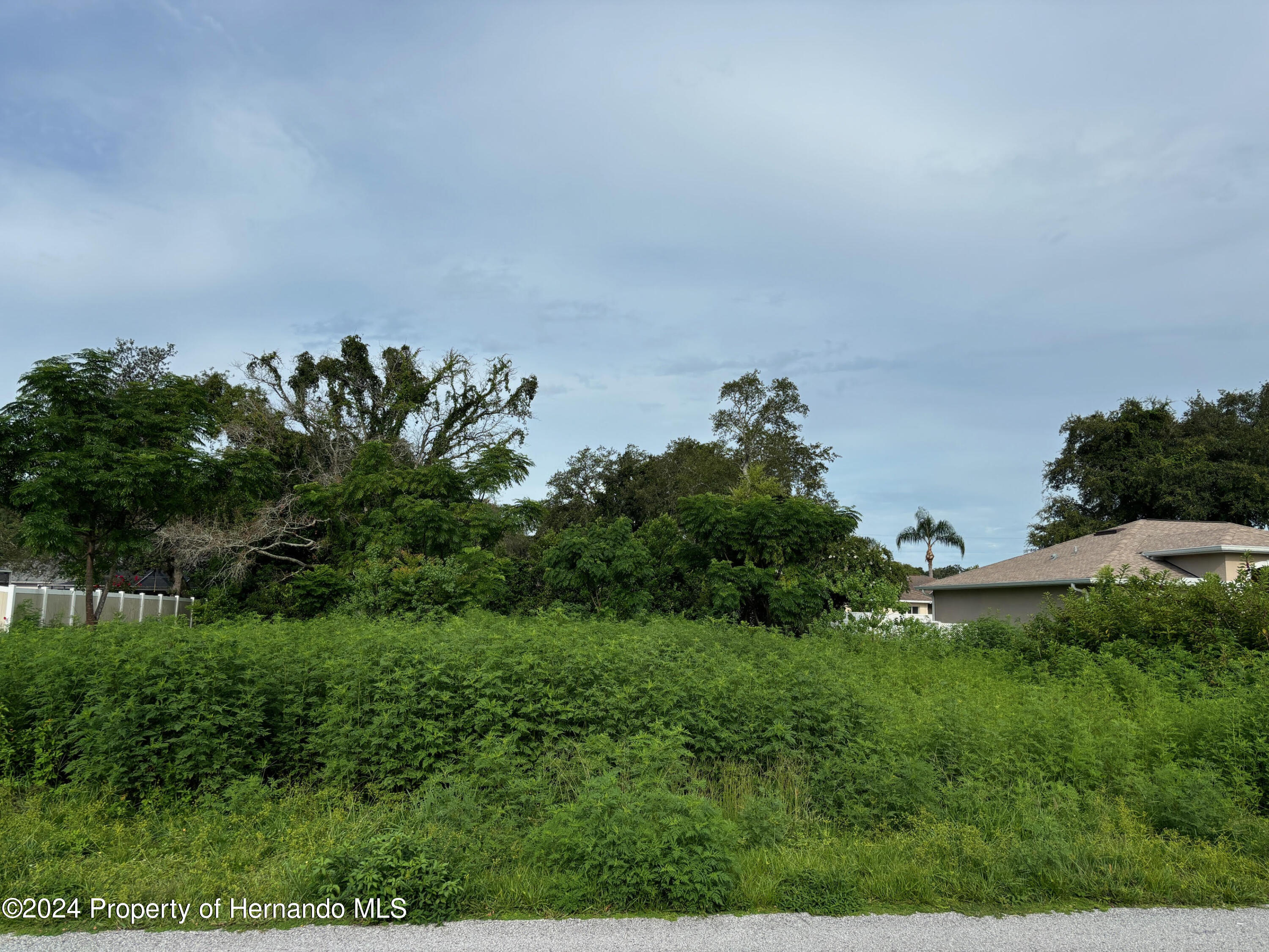 Lot 17 Channing Avenue, Spring Hill, Florida image 4