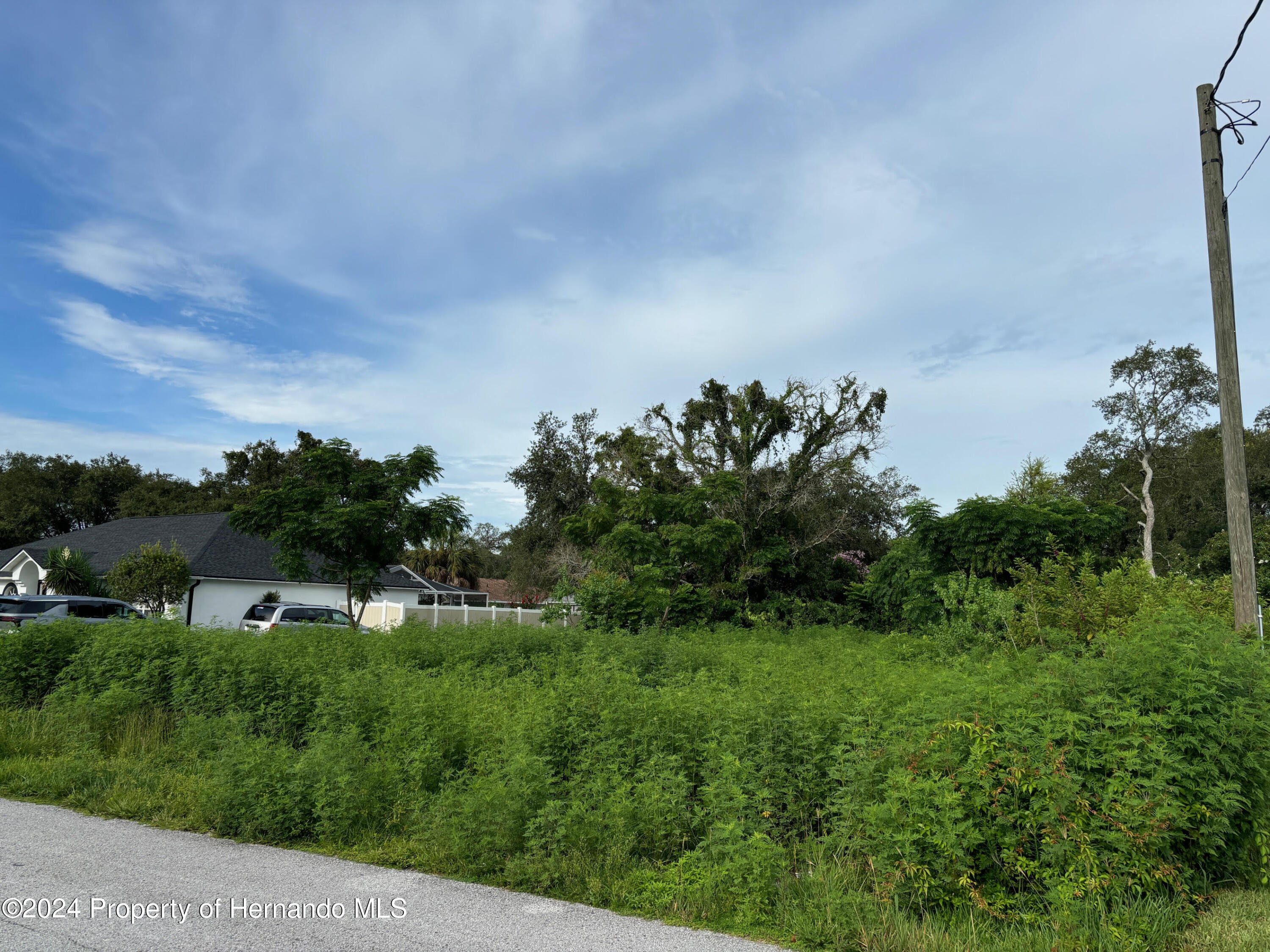 Lot 17 Channing Avenue, Spring Hill, Florida image 5