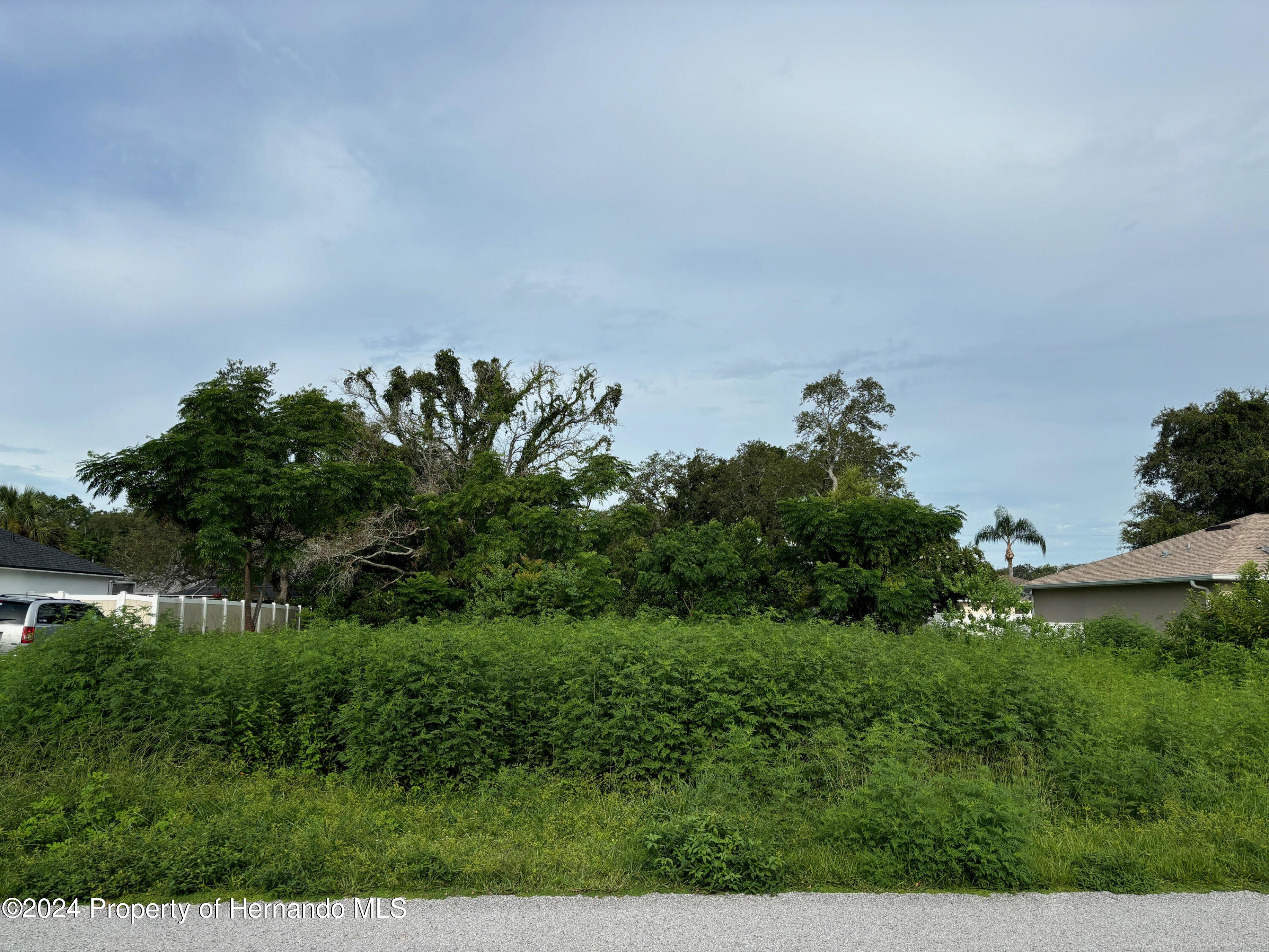 Lot 17 Channing Avenue, Spring Hill, Florida image 1