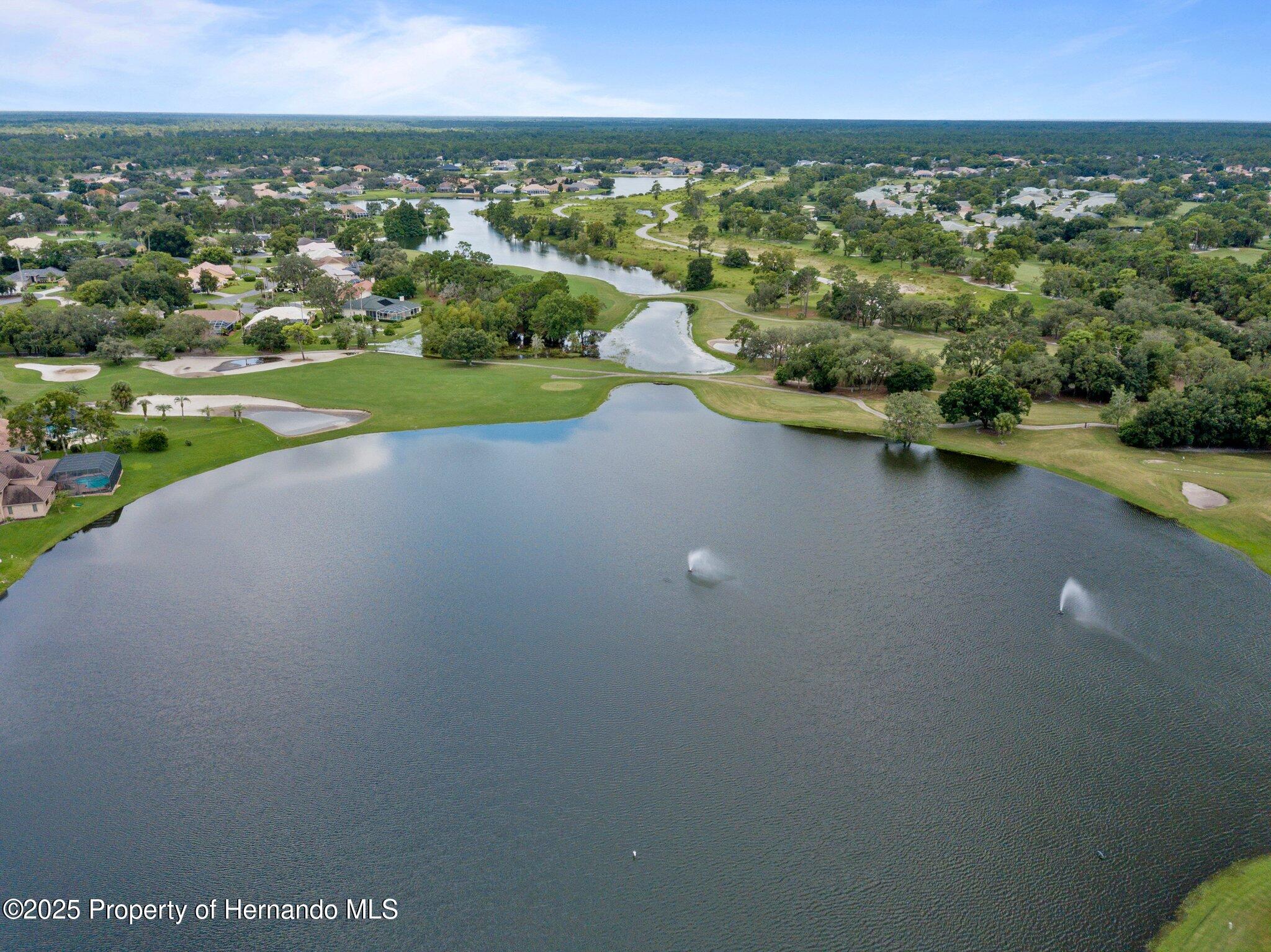 9147 Rhett Lane, Weeki Wachee, Florida image 45