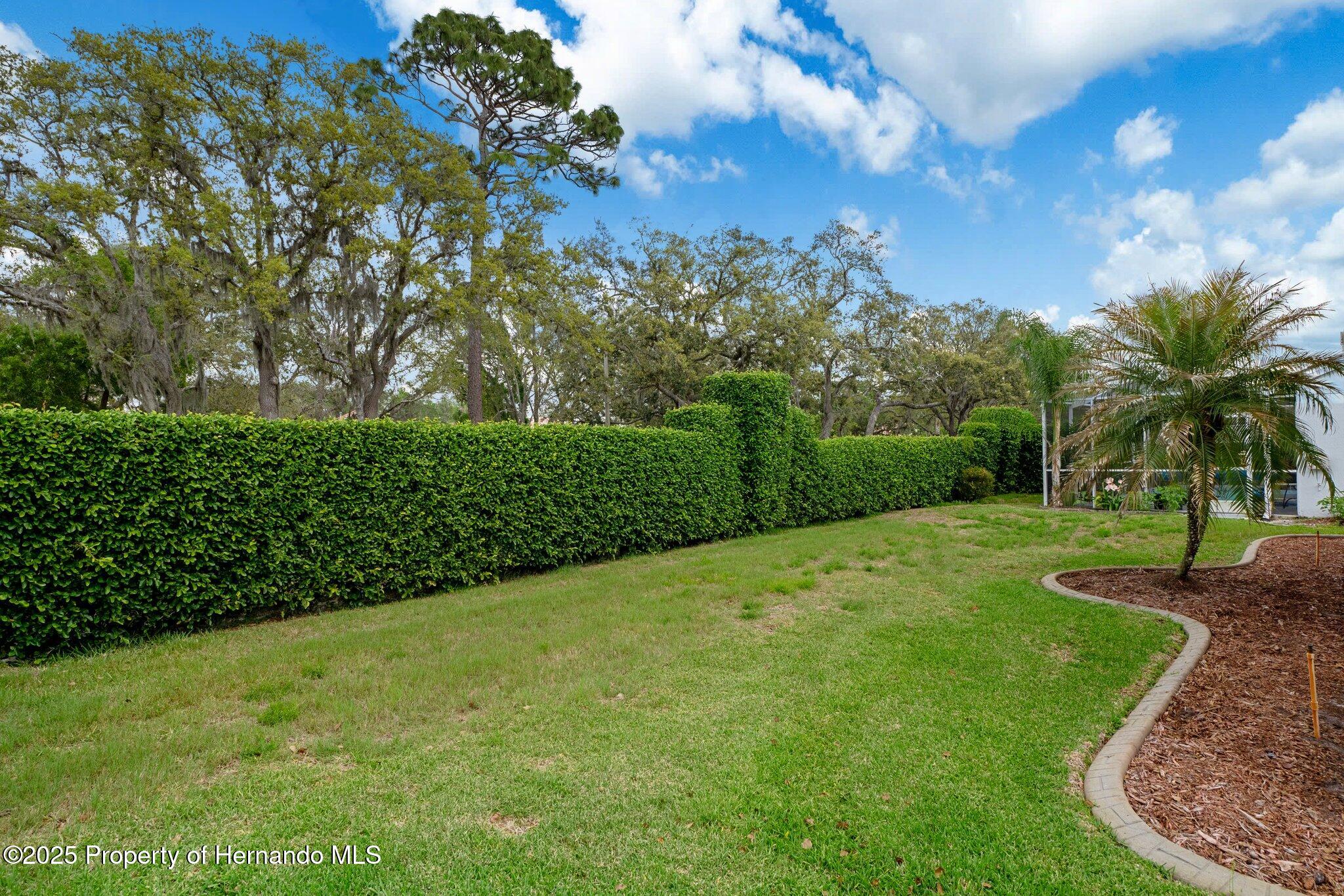 9147 Rhett Lane, Weeki Wachee, Florida image 38