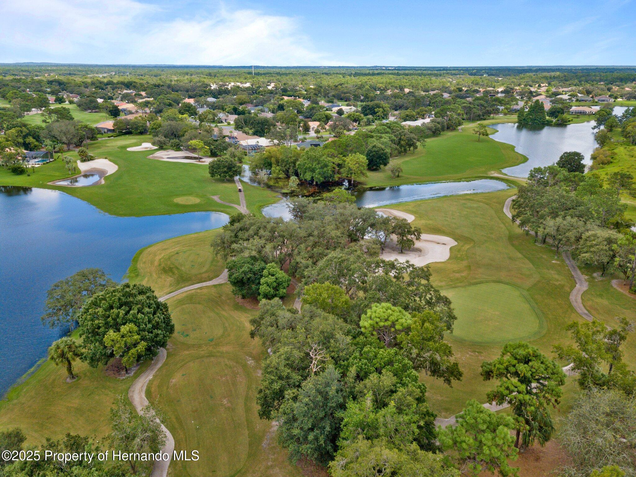 9147 Rhett Lane, Weeki Wachee, Florida image 50