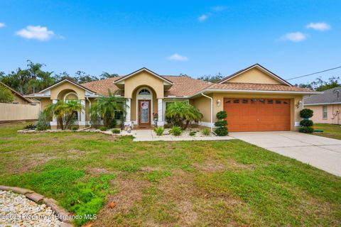 Homes For Sale - 204 Planter Road<br/> Spring Hill, FL 34606