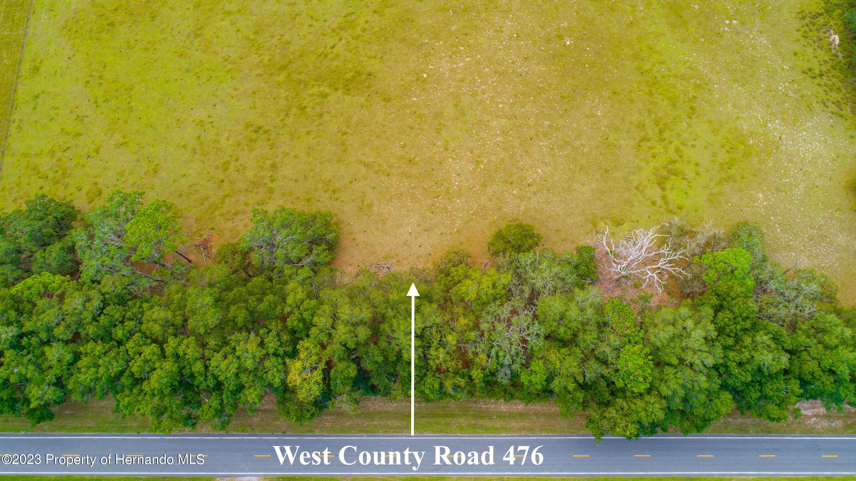 000 County Rd 476, Bushnell, Florida image 4