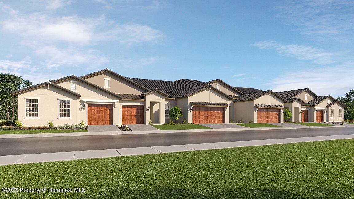 17229 Tortoise Crown Boulevard, LAND O LAKES, Florida image 1