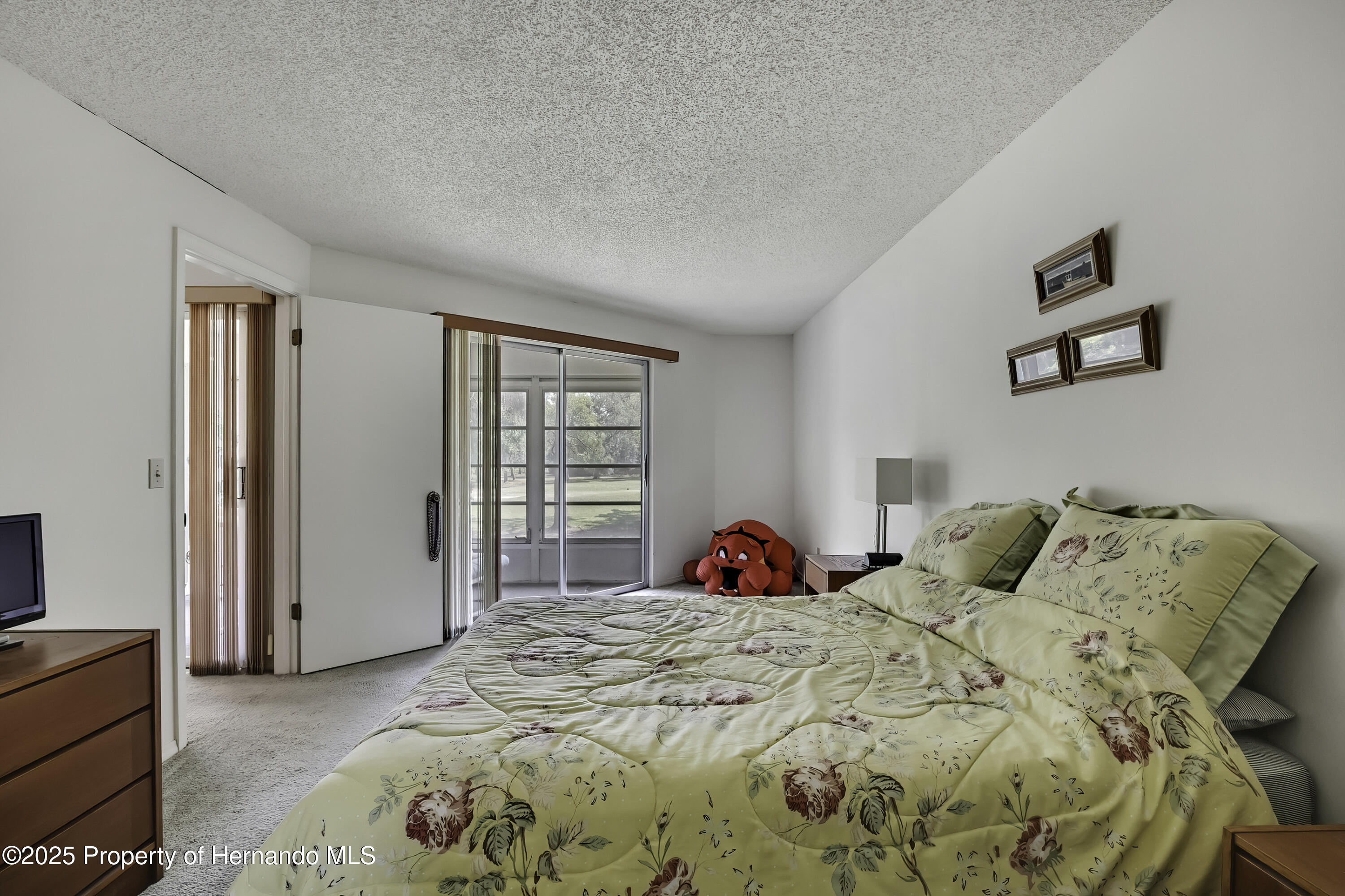7644 St Andrews Boulevard, Weeki Wachee, Florida image 18