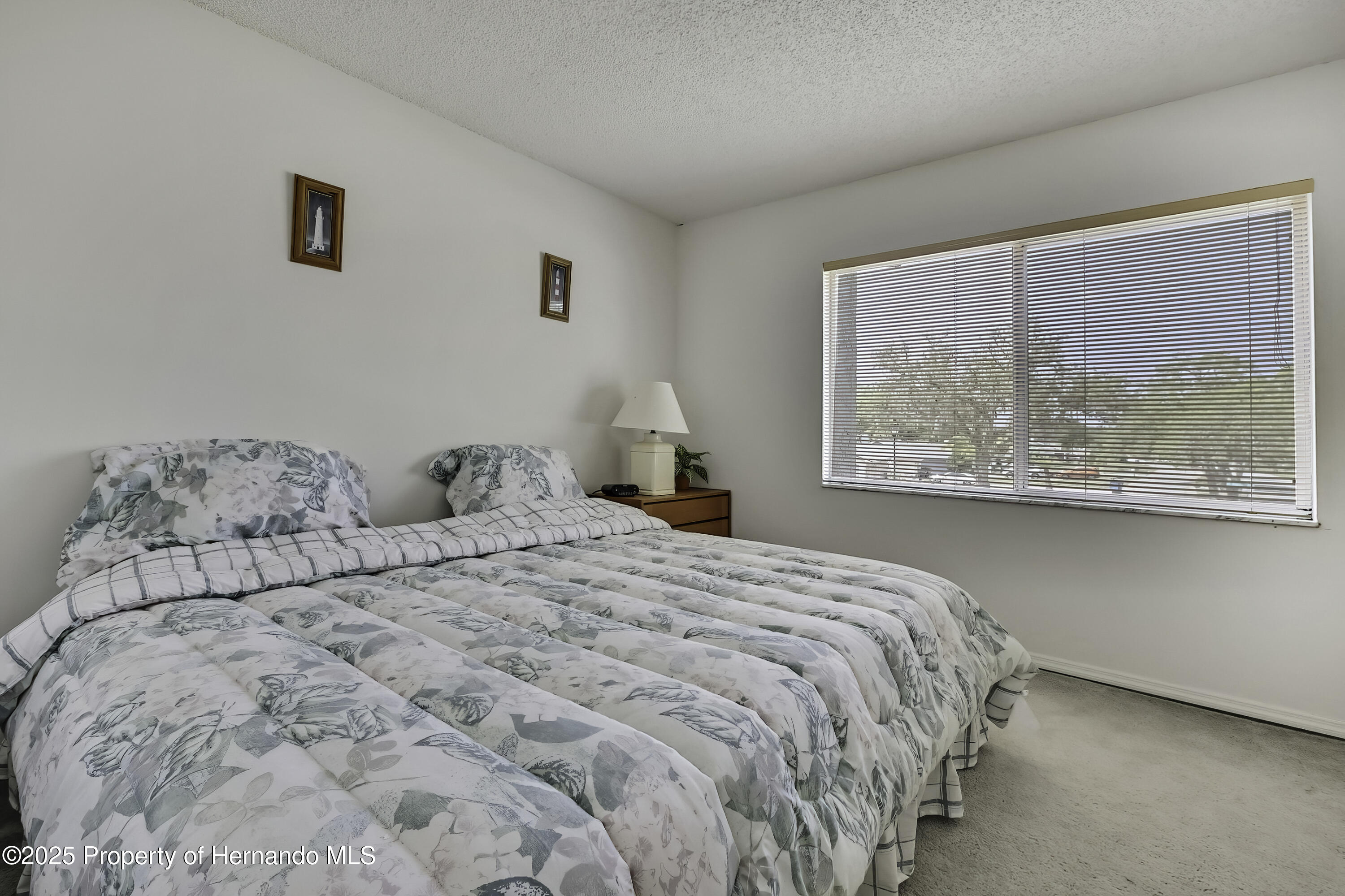 7644 St Andrews Boulevard, Weeki Wachee, Florida image 20