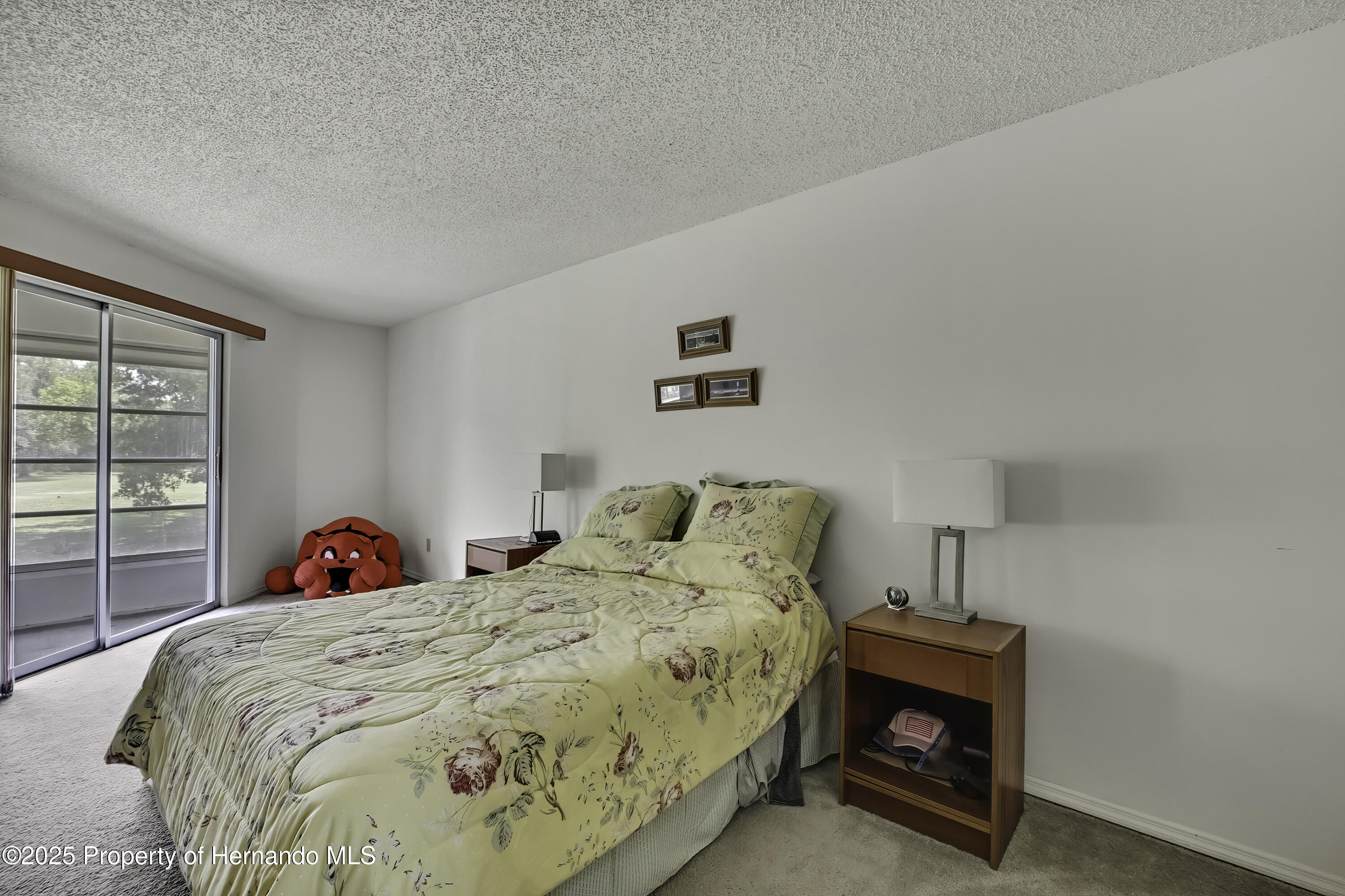 7644 St Andrews Boulevard, Weeki Wachee, Florida image 17