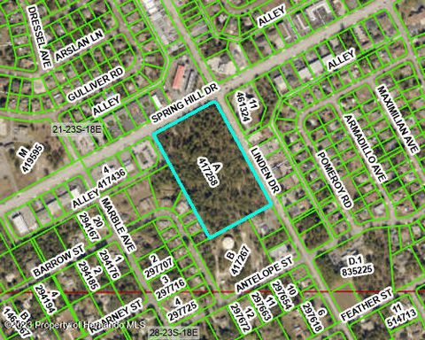 Vacant Land For Sale - Spring Hill Drive<br/> Spring Hill, FL 34609