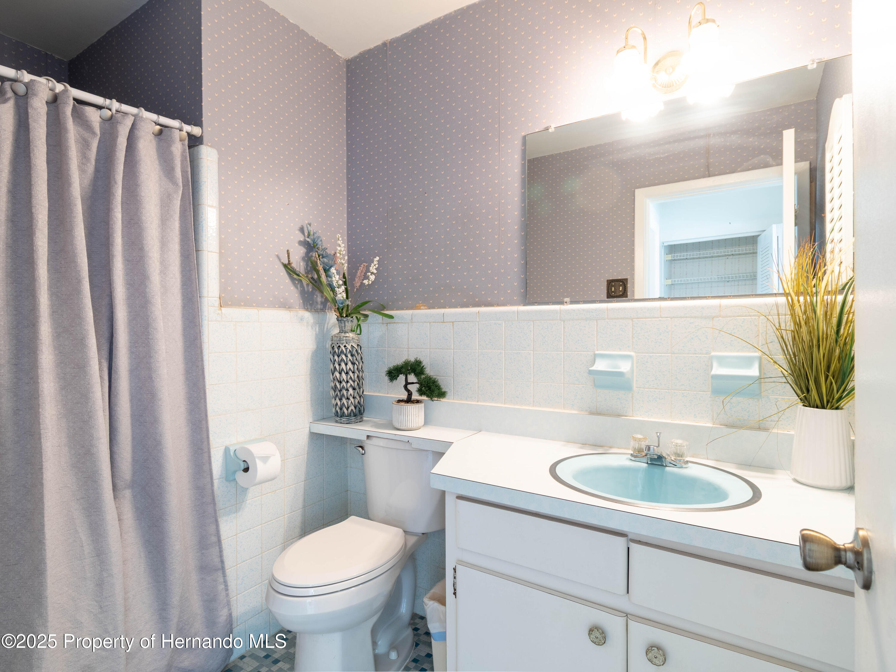 6251 Danbury Street, Spring Hill, Florida image 19