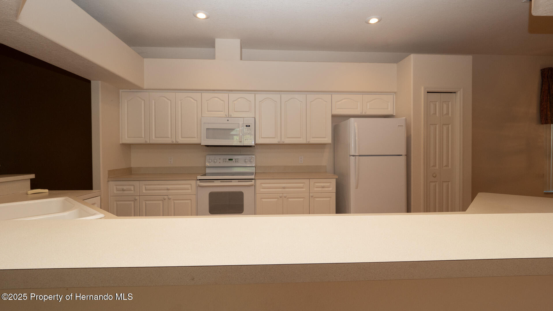 15038 Tamarind Loop, Spring Hill, Florida image 9