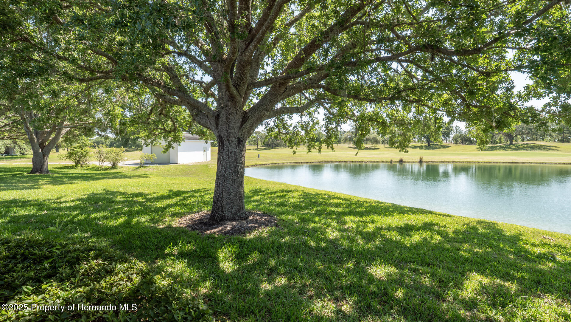 15038 Tamarind Loop, Spring Hill, Florida image 39