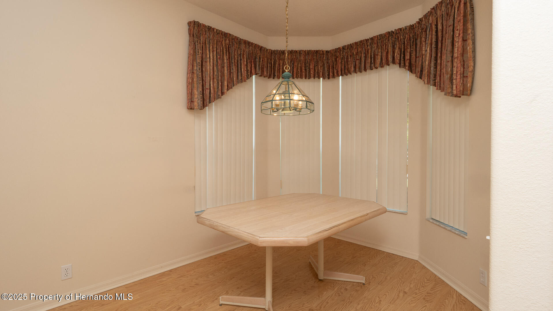 15038 Tamarind Loop, Spring Hill, Florida image 5
