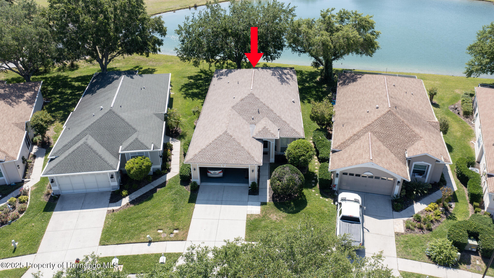 15038 Tamarind Loop, Spring Hill, Florida image 3
