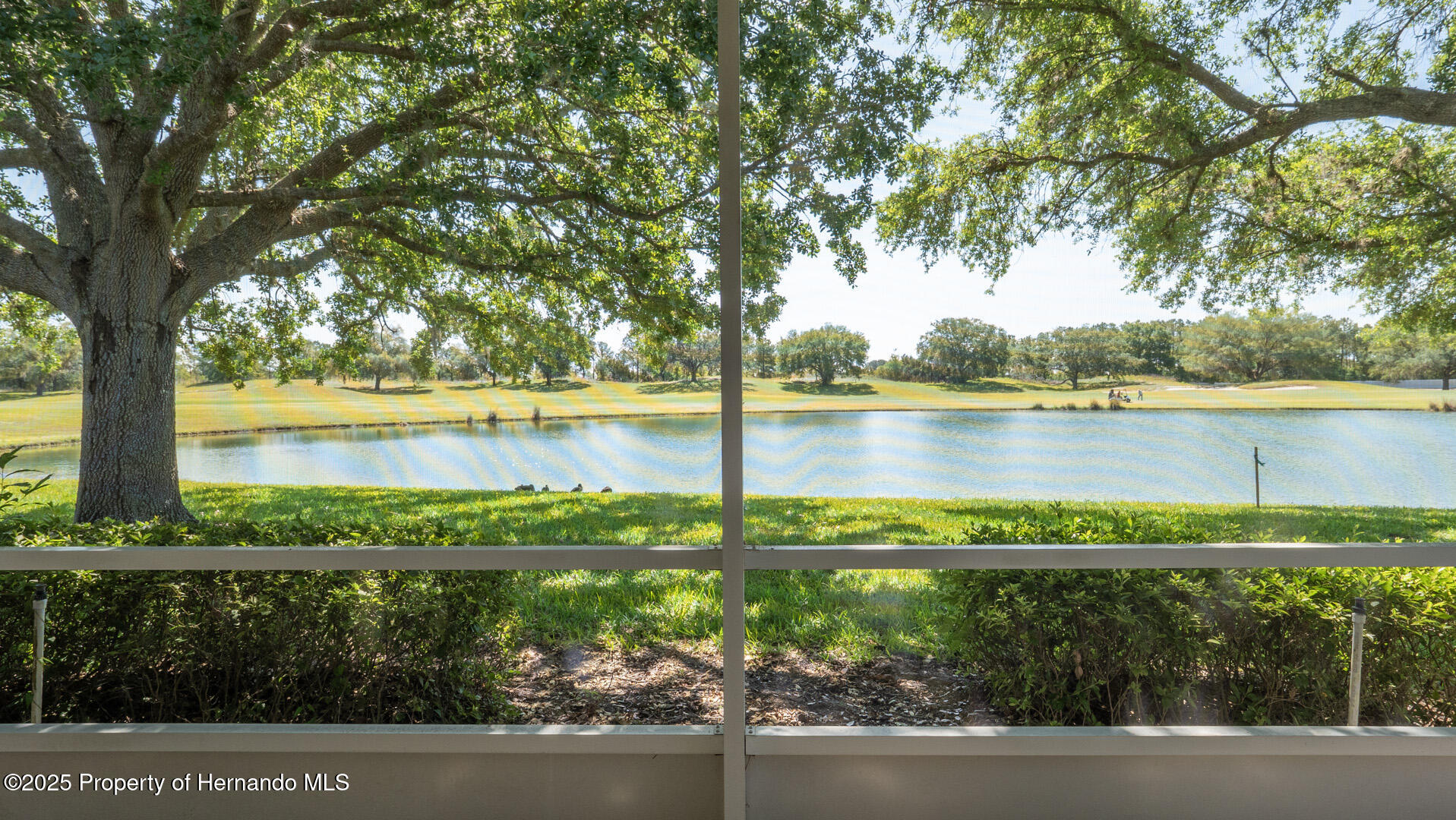 15038 Tamarind Loop, Spring Hill, Florida image 30