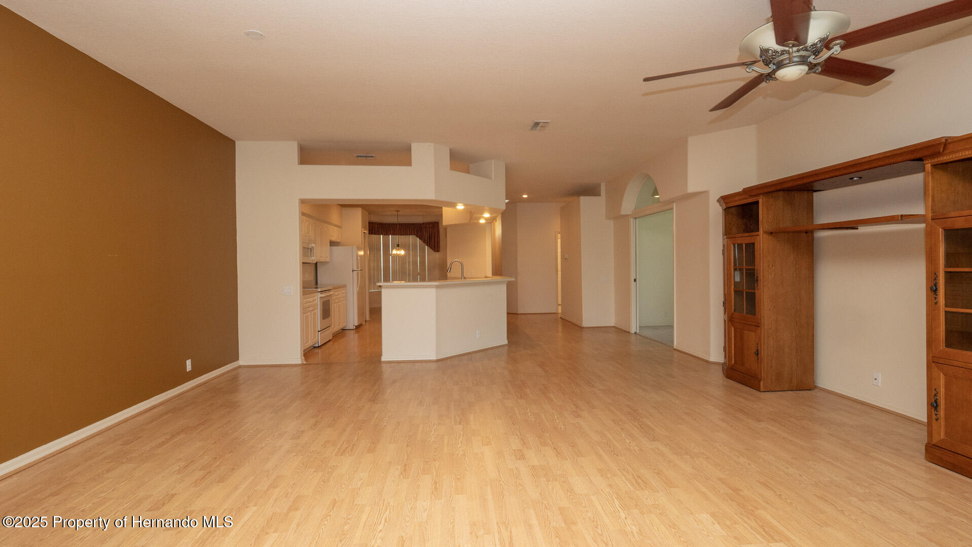 15038 Tamarind Loop, Spring Hill, Florida image 14