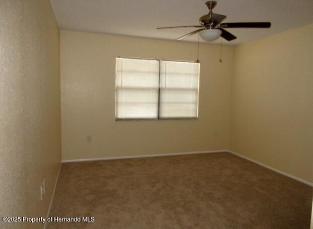 10020 Vancouver Road, Spring Hill, Florida image 13