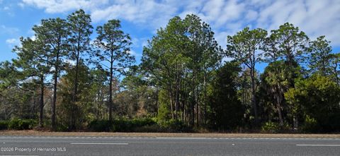 Vacant Land For Sale - Commercial Way<br/> Weeki Wachee, FL 34614