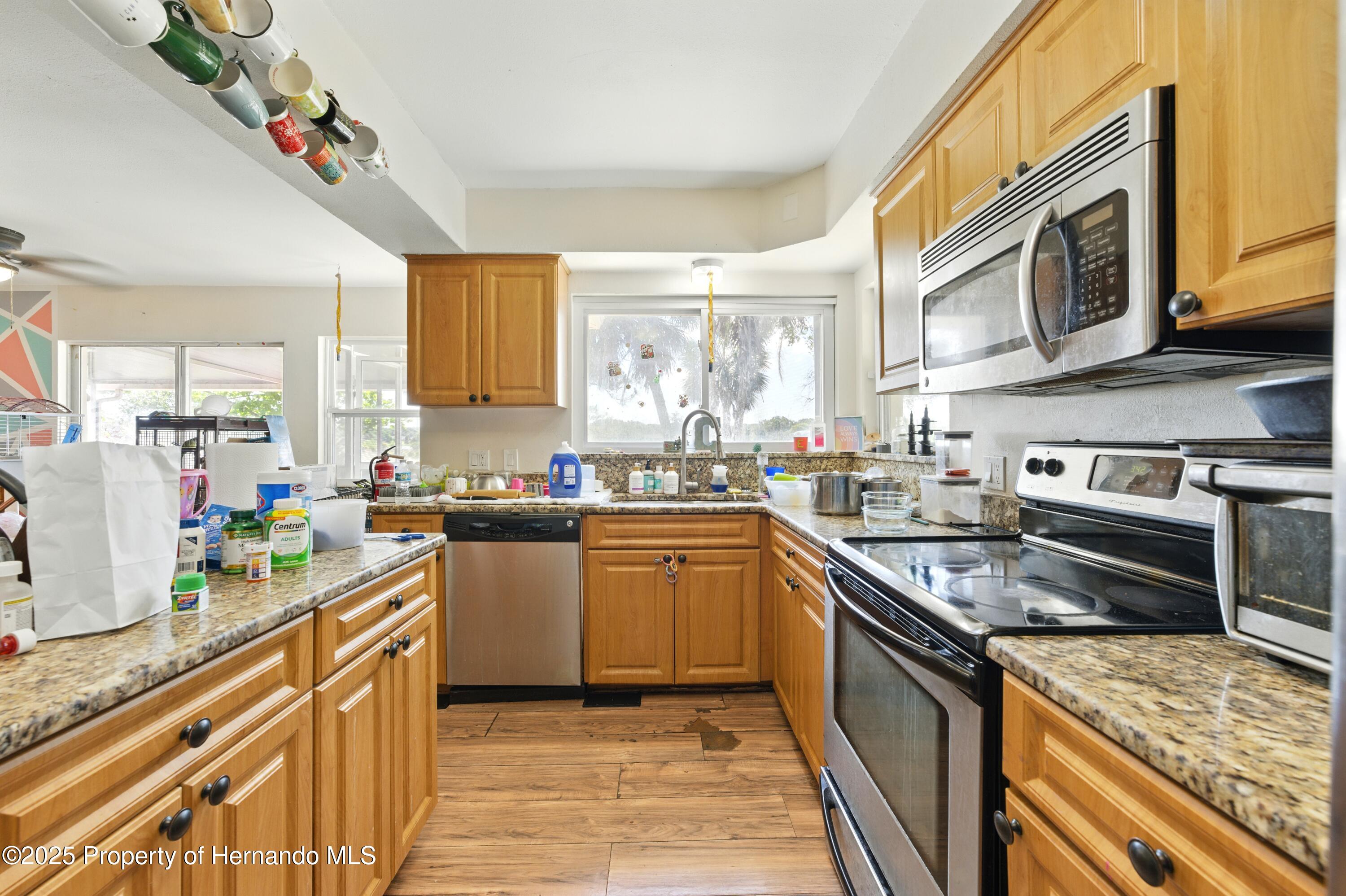 577 Waterfall Drive, Spring Hill, Florida image 25